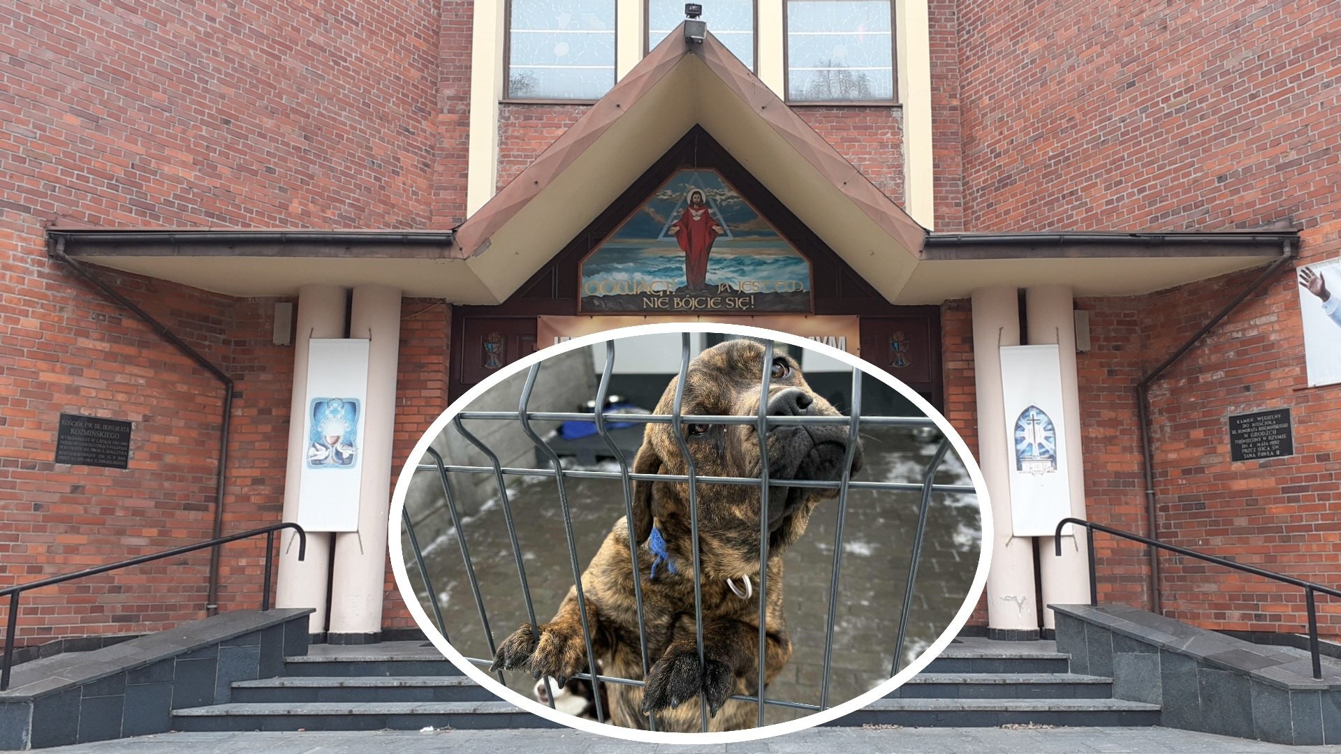 Będzin-Grodziec. Charytatywny koncert kolęd na fundacje «Karmimy Psiaki». 1 lutego 2026.