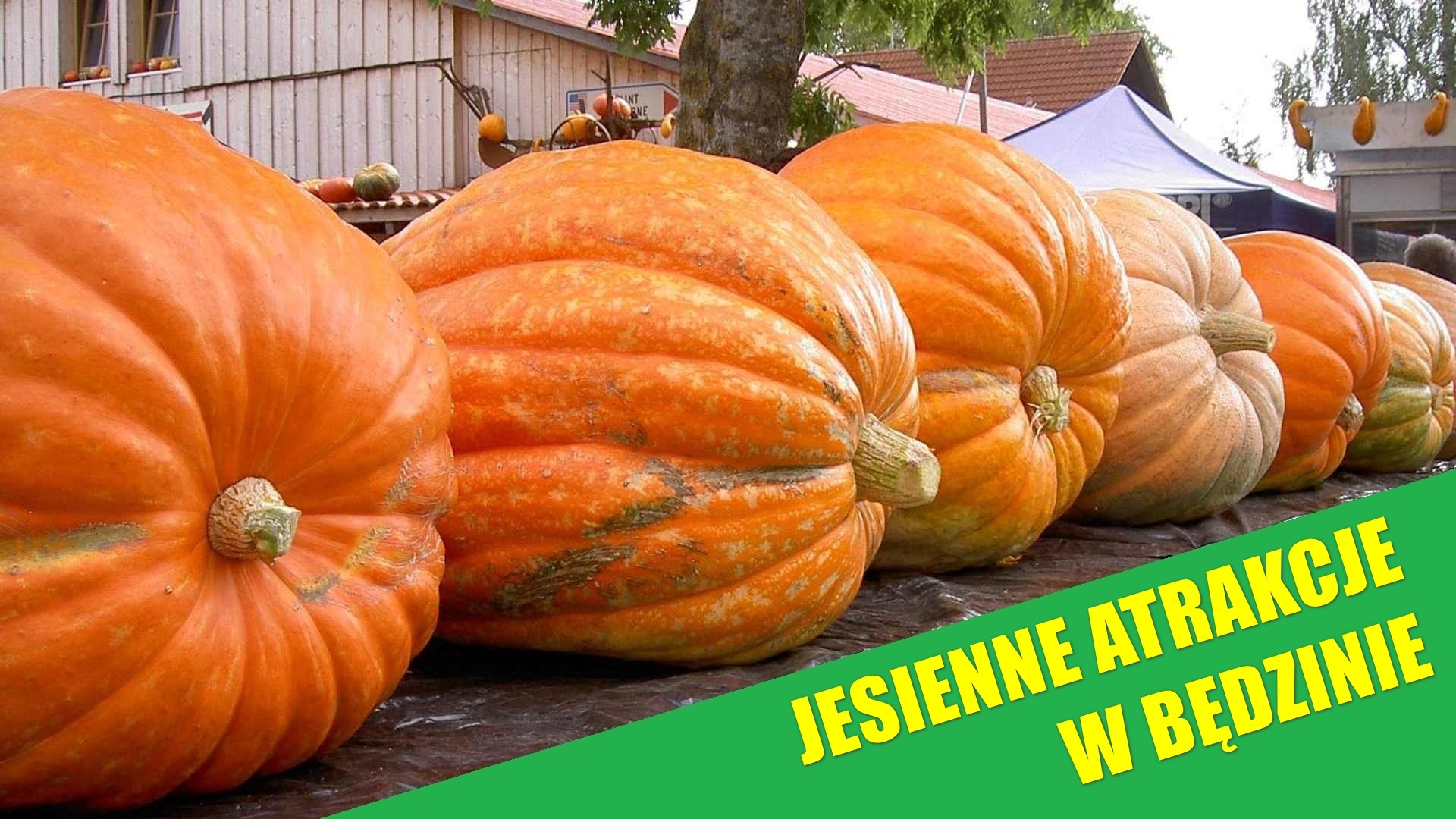 Będzin. Jesienne atrakcje
