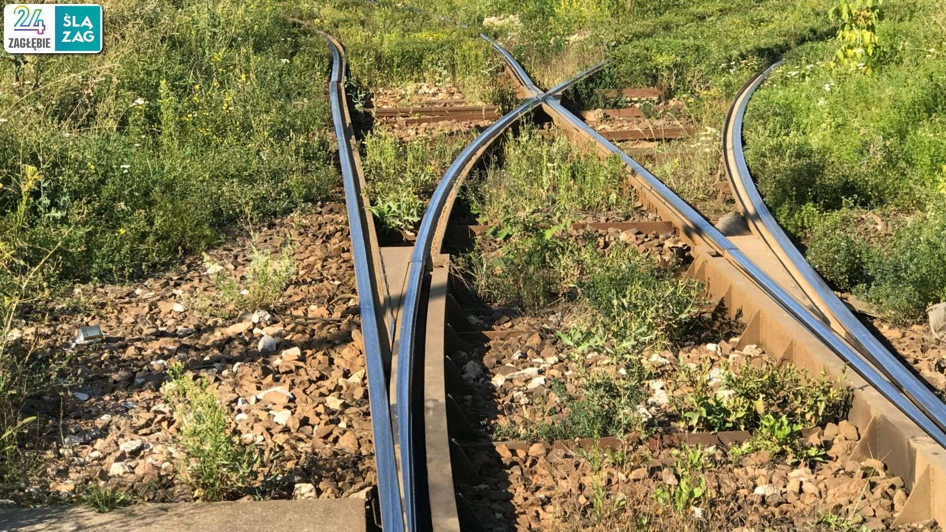 Będzin – „Nerka”. Torowisko tramwajowe. 13 sierpnia 2025.