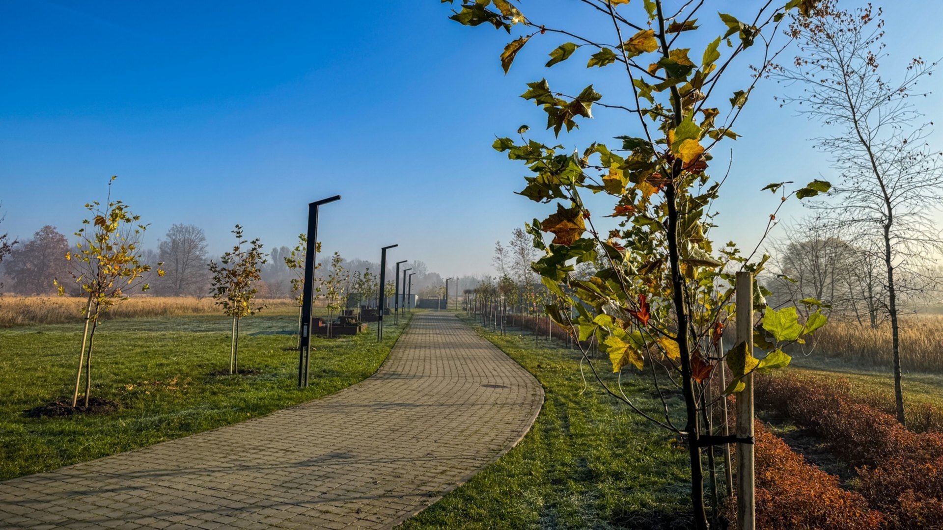Będzin. Park przy miejskiej plaży. Listopad 2025.