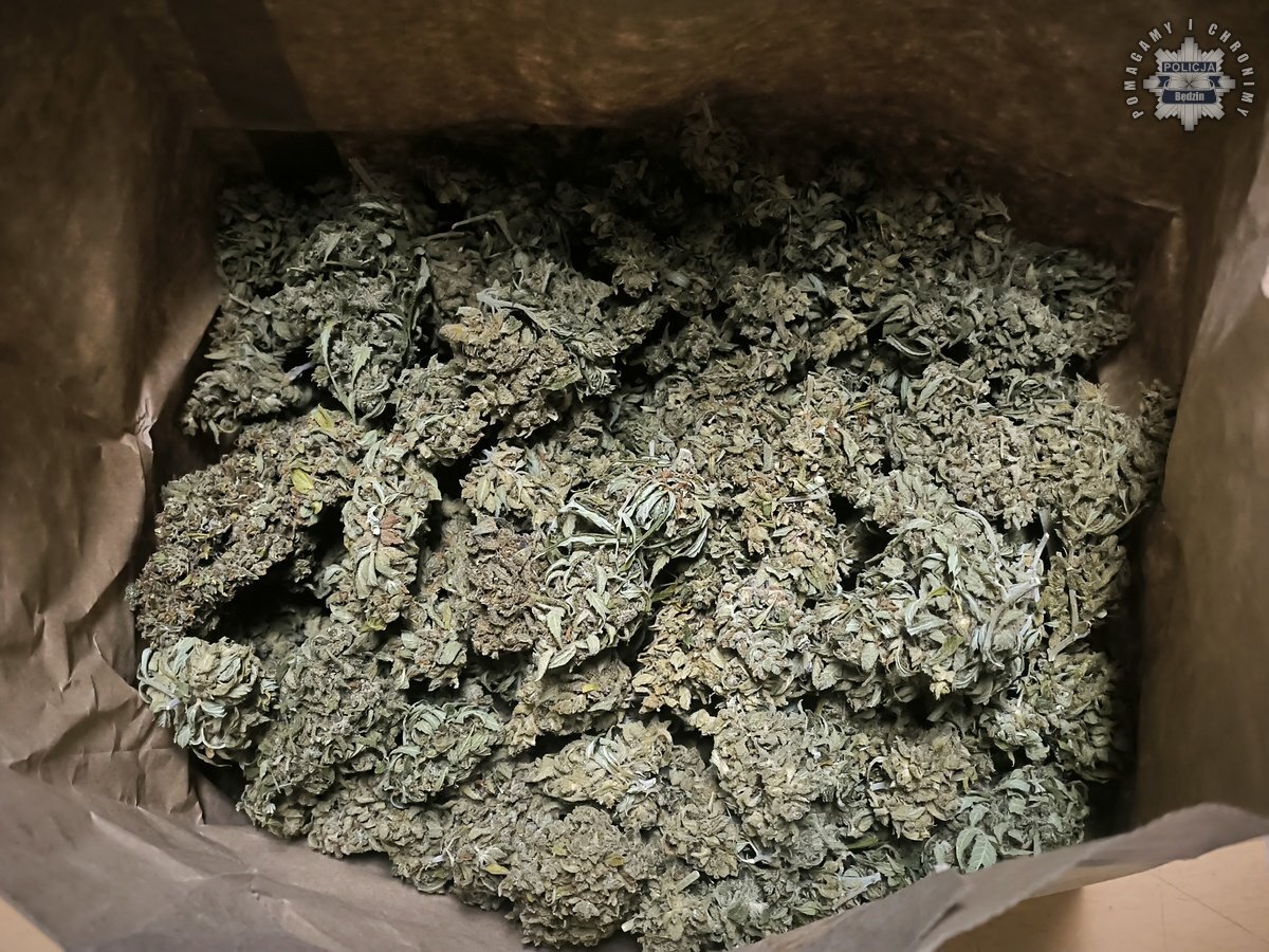 Zatrzymanie za posiadanie narkotyków i broni. Brzękowice (gmina Psary), Będzin, Sosnowiec. 8 kwietnia 2025.