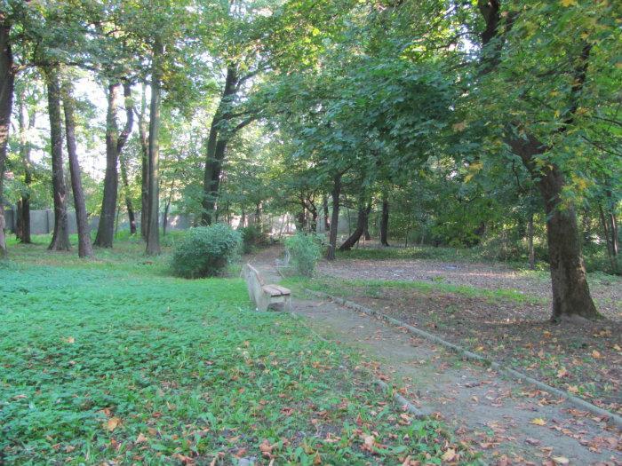 Będzin-Grodziec. Park Ciechanowskich. Około roku 2012.