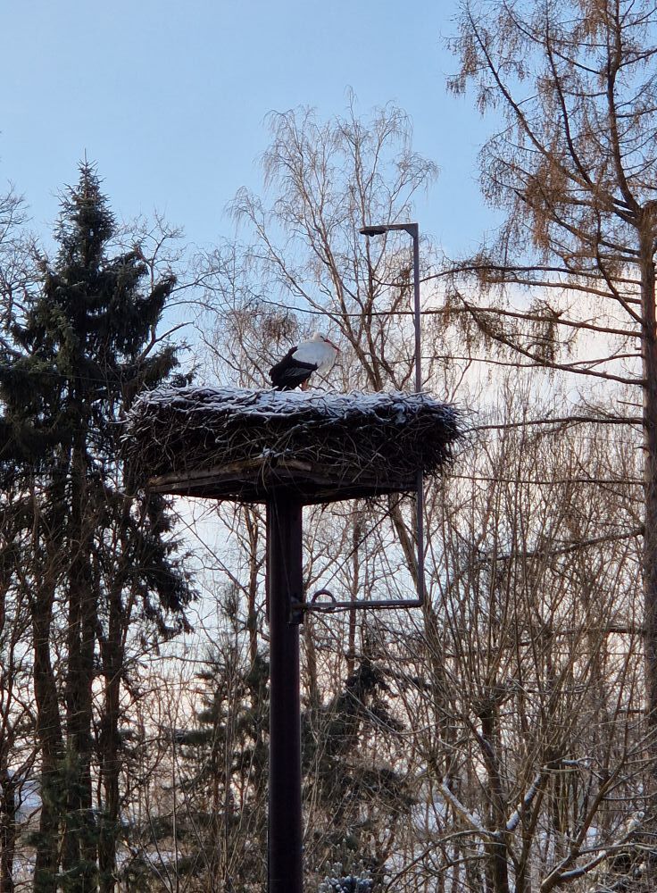 Bocian, Mikołów, 2026