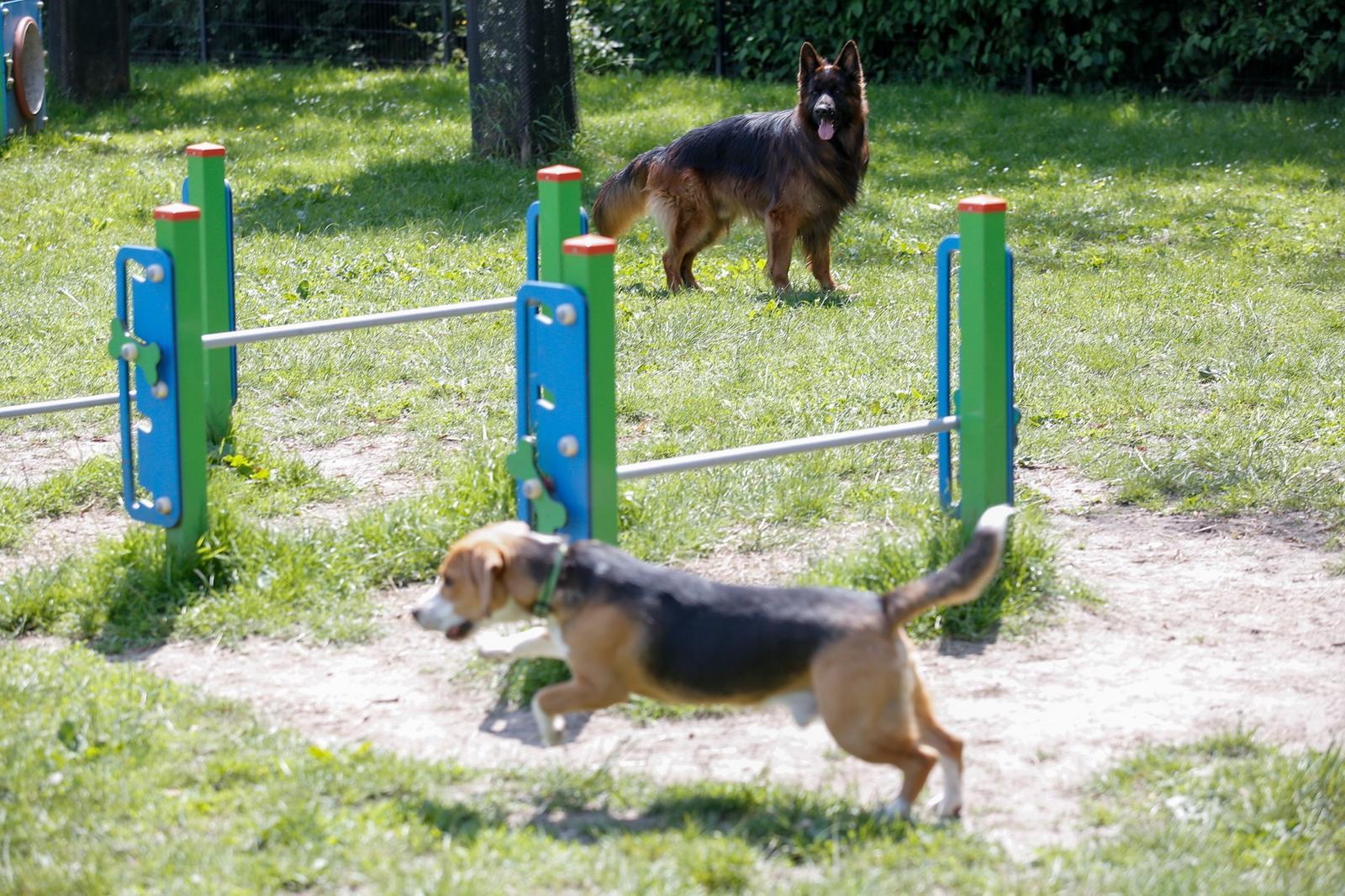 Budowa psiego wybiegu na os. Gwiazdy też będzie zrealizowana z BO