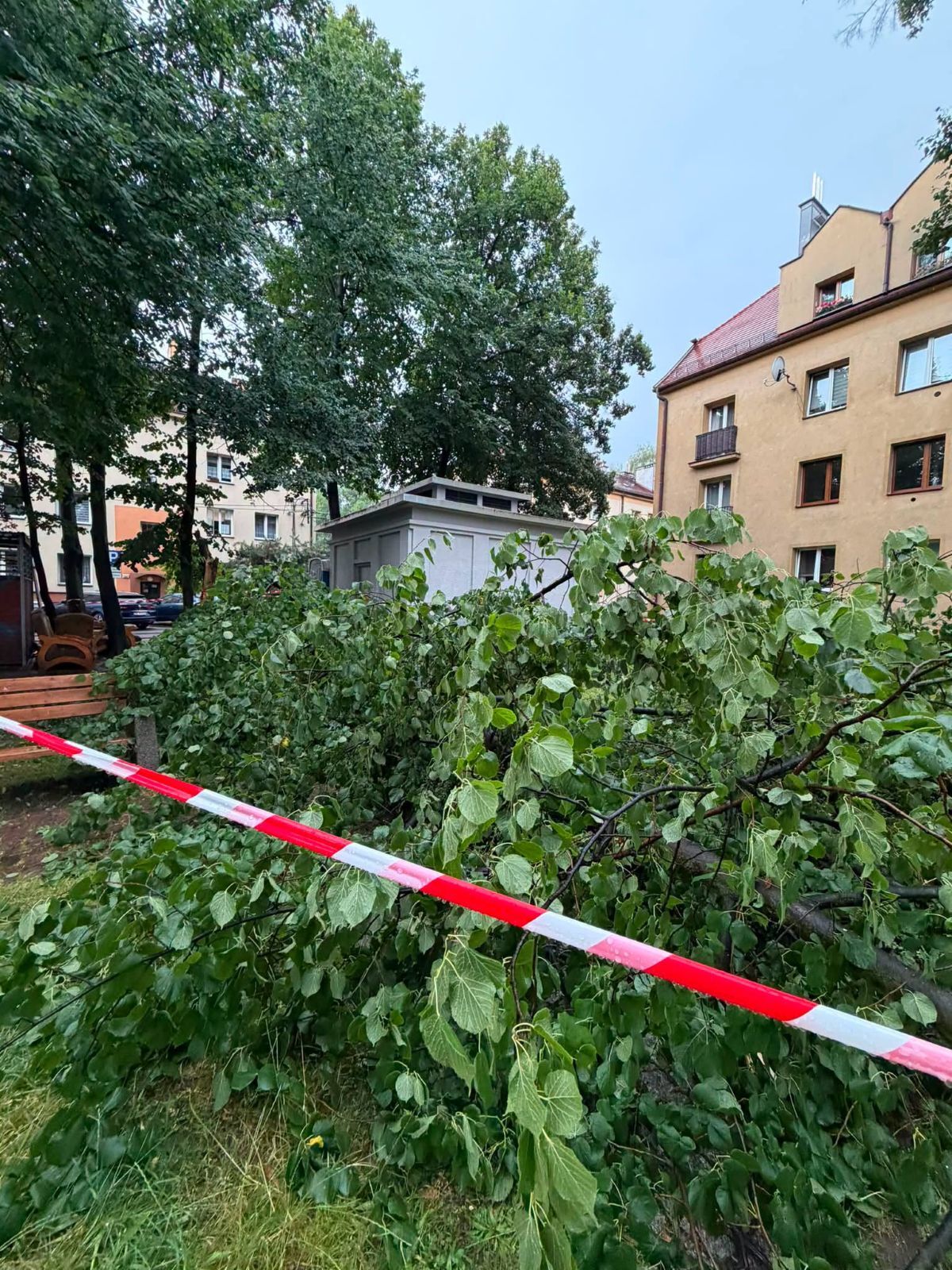 Skutki burzy w Chorzowie