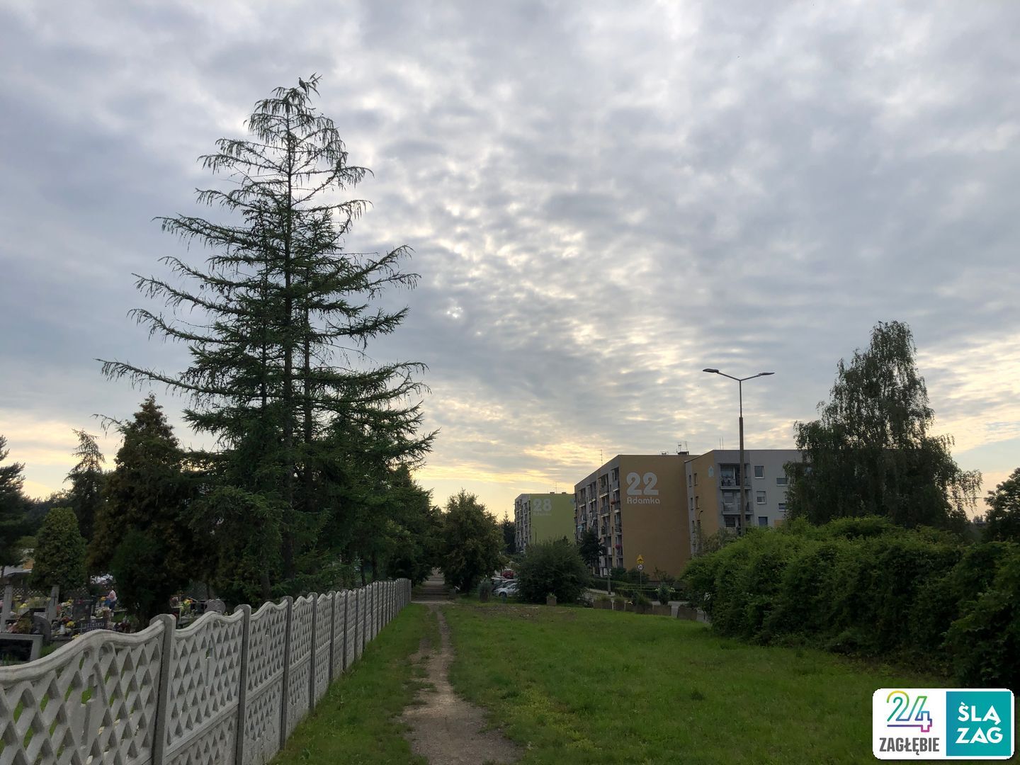 Bytom-Łagiewniki. Ścieżka do ulicy Mikołaja Adamka. Test nawigacji rowerowych: Google Maps, Apple Maps, Mapy.cz. Zdjęcia z trasy. 9 sierpnia 2025.