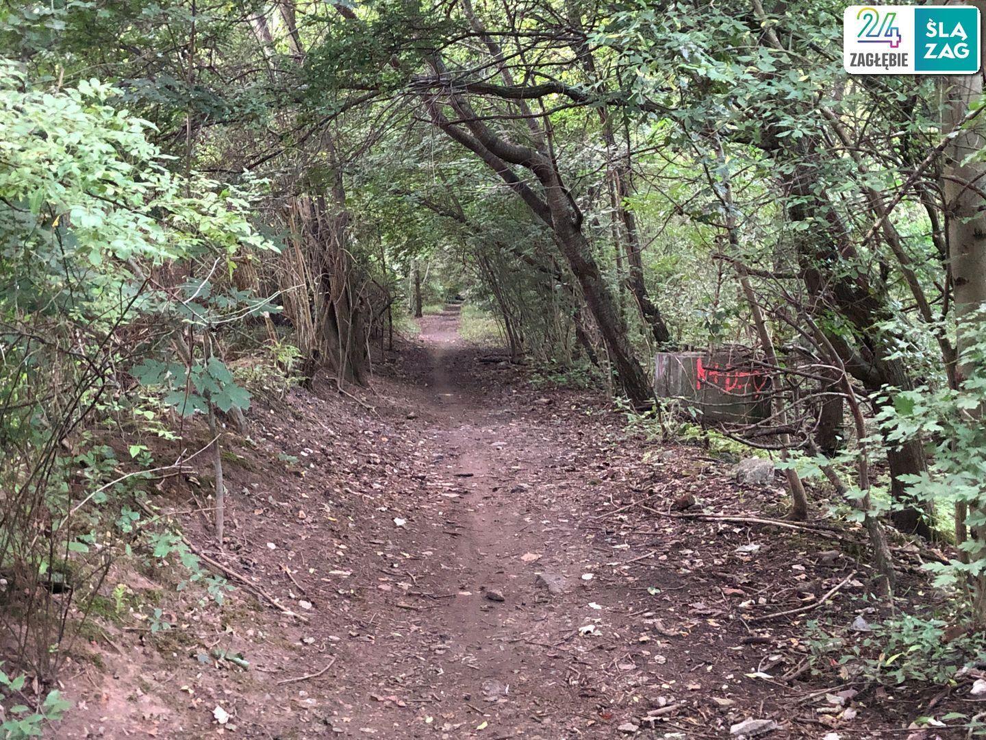 Bytom-Łagiewniki a może już Świętochłowice? Park. Test nawigacji rowerowych: Google Maps, Apple Maps, Mapy.cz. Zdjęcia z trasy. 9 sierpnia 2025.