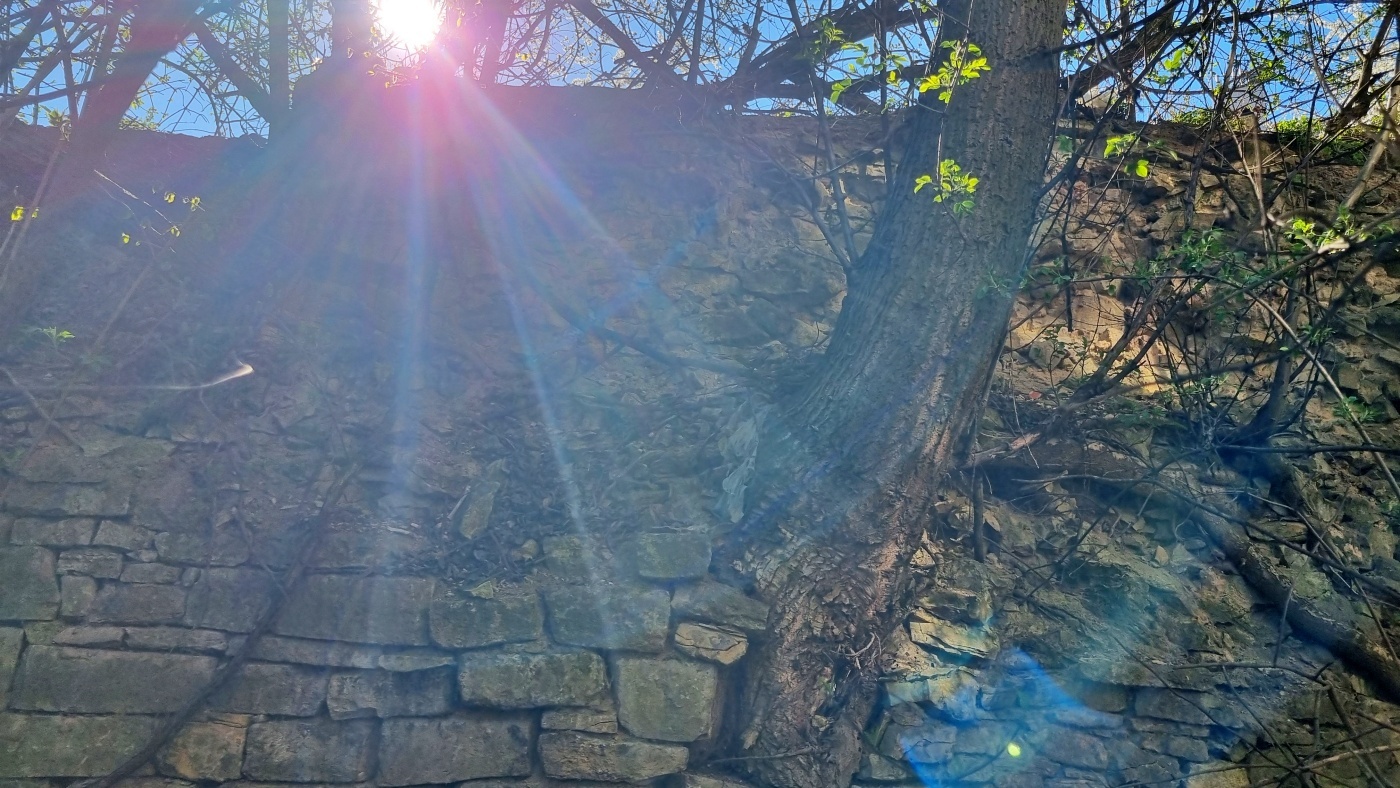 Bytom mur sredniowieczny 2