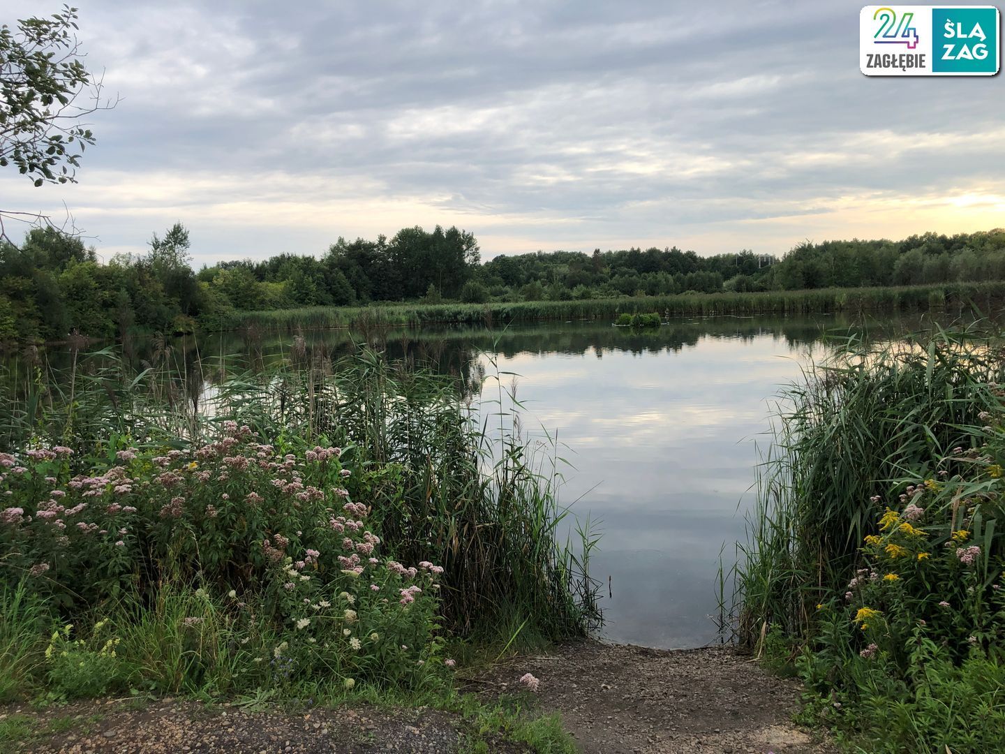 Chorzów. Rezerwat Żabie Doły. Test nawigacji rowerowych: Google Maps, Apple Maps, Mapy.cz. Zdjęcia z trasy. 9 sierpnia 2025.