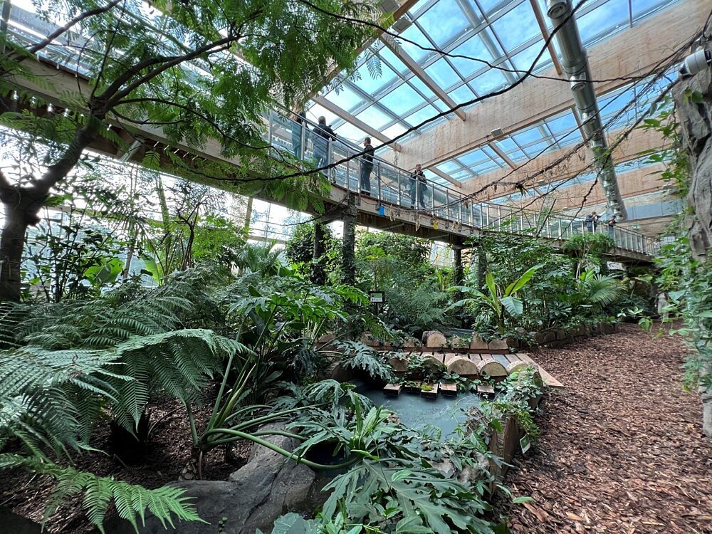 Dzień Lasu w Śląskim Ogrodzie Zoologicznym. Zaplanowano wiele atrakcji