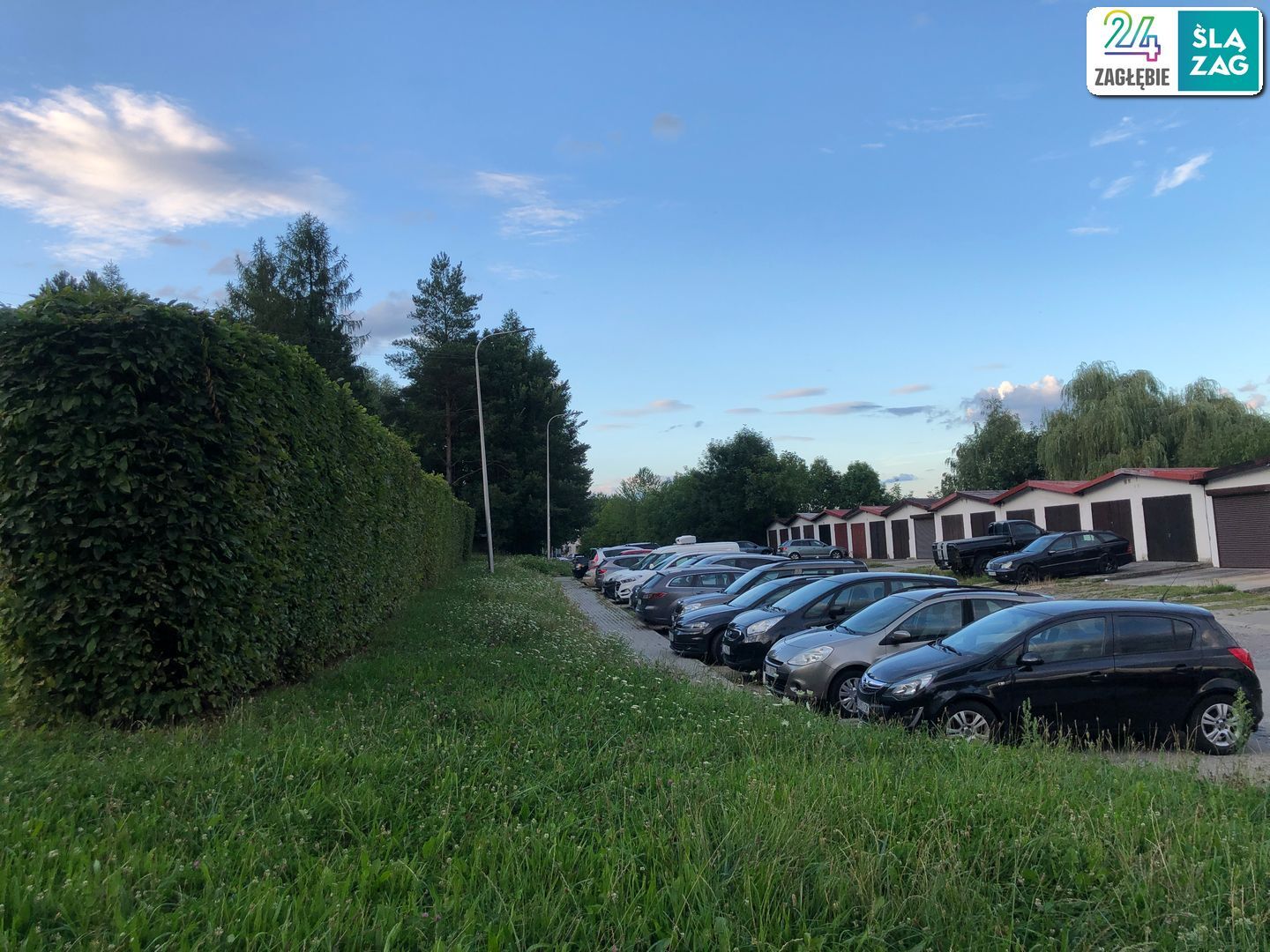 Cieszyn. Osiedle Podgórze. Zielona bariera między parkingiem a blokami . 2 sierpnia 2025.