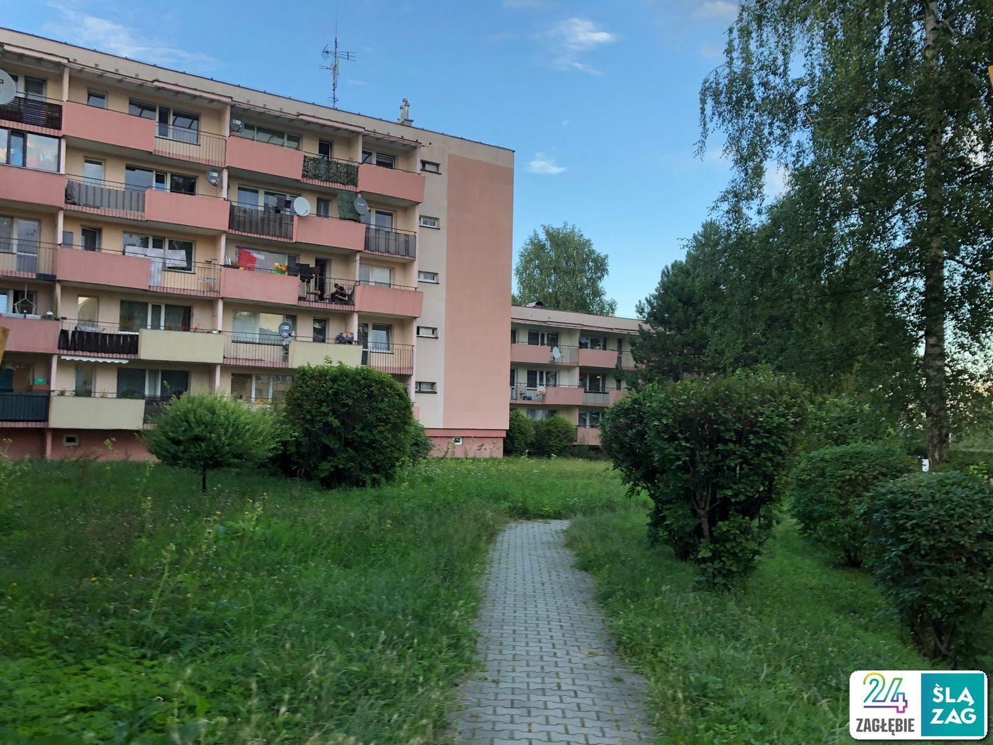 Cieszyn. Osiedle Podgórze czyli bloki wśród zieleni niczym w ośrodku wczasowym. 2 sierpnia 2025.
