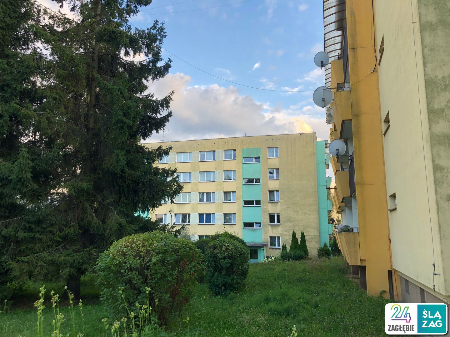 Cieszyn. Osiedle Podgórze czyli bloki wśród zieleni niczym w ośrodku wczasowym. 2 sierpnia 2025.