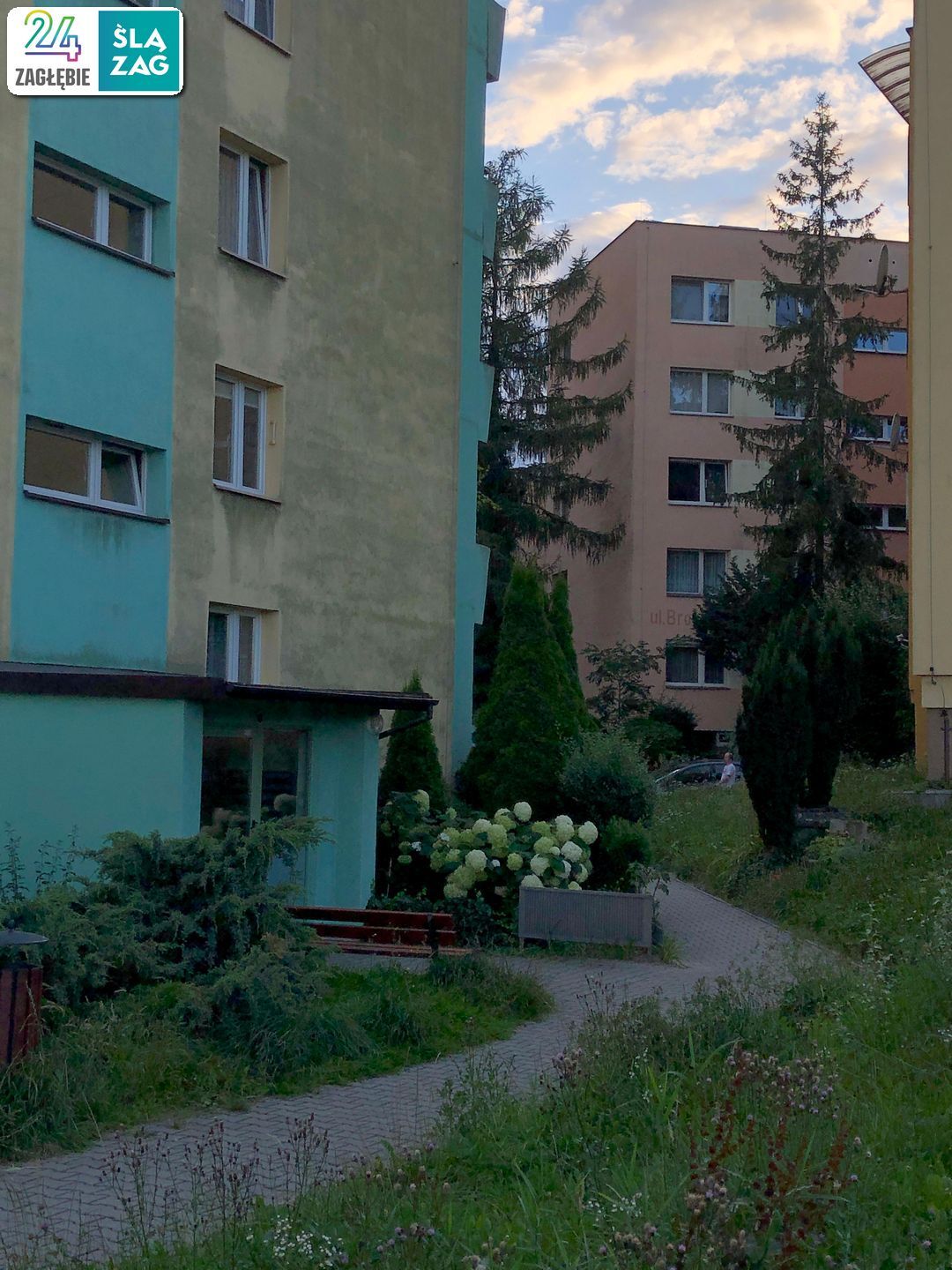 Cieszyn. Osiedle Podgórze czyli bloki wśród zieleni niczym w ośrodku wczasowym. 2 sierpnia 2025.