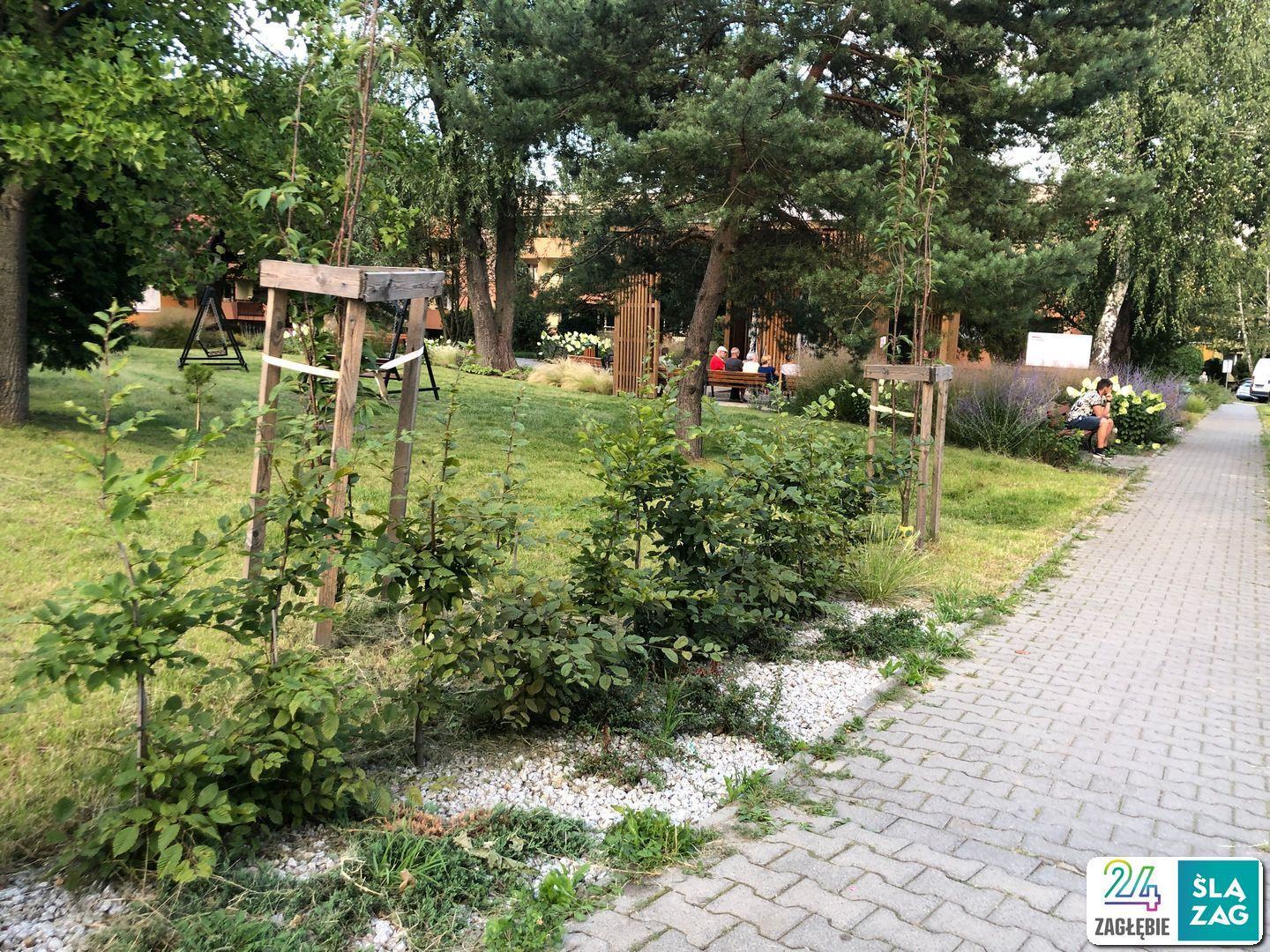 Cieszyn. Osiedle Podgórze czyli bloki wśród zieleni niczym w ośrodku wczasowym. 2 sierpnia 2025.