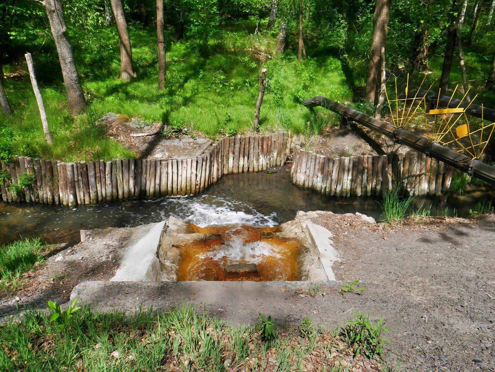 Czarniawka, maj 2025