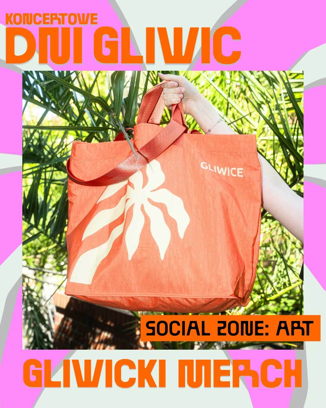 DG merch 11