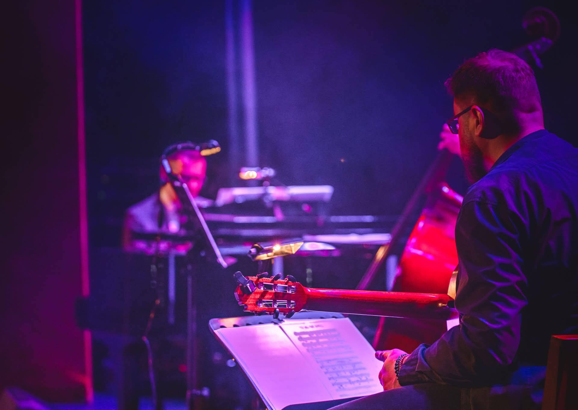 Dąbrowa Górnicza. Koncert zespołu „Give Me Sound” w Pałacu Kultury Zagłębia. 5 marca 2025.