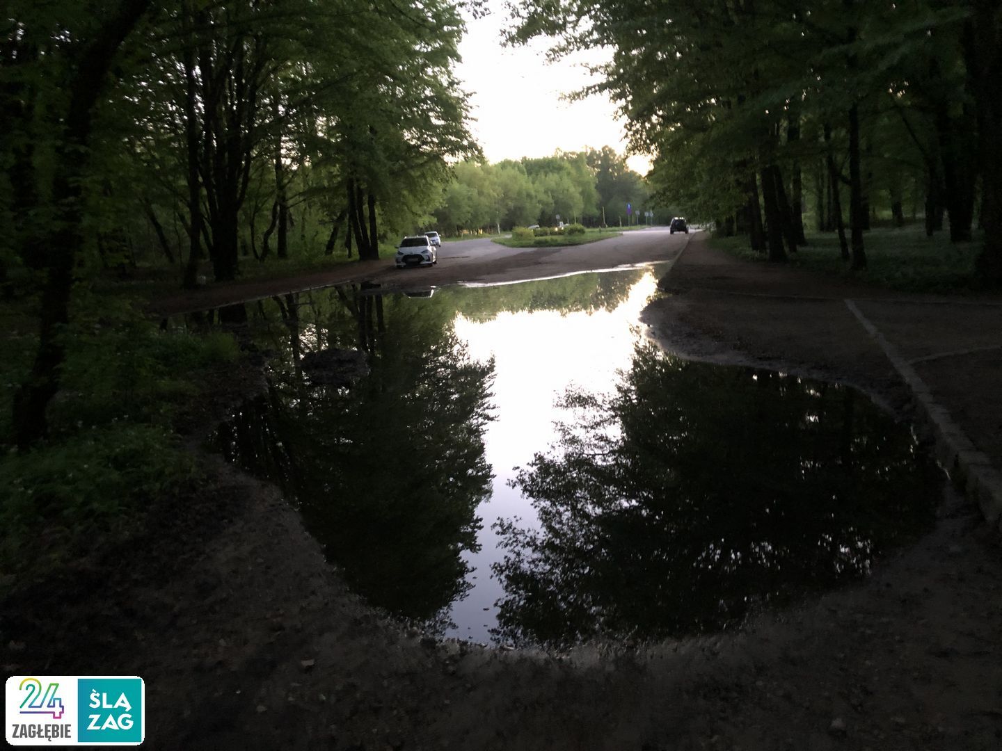 Dąbrowa Górnicza. Park „Zielona”. 26 kwietnia 2025.