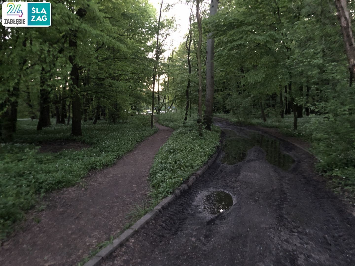 Dąbrowa Górnicza. Park „Zielona”. 26 kwietnia 2025.