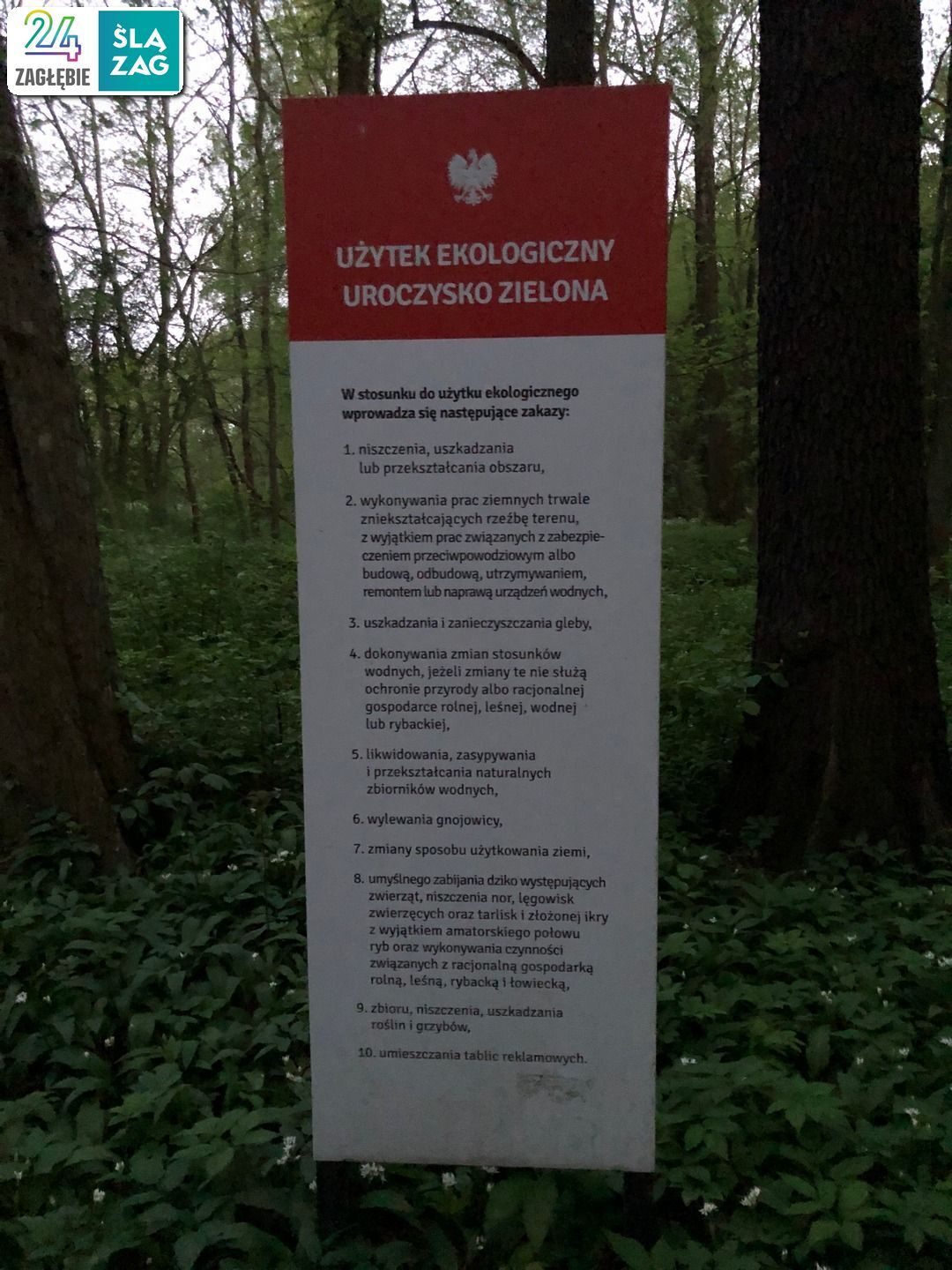 Dąbrowa Górnicza. Park „Zielona”. 26 kwietnia 2025.