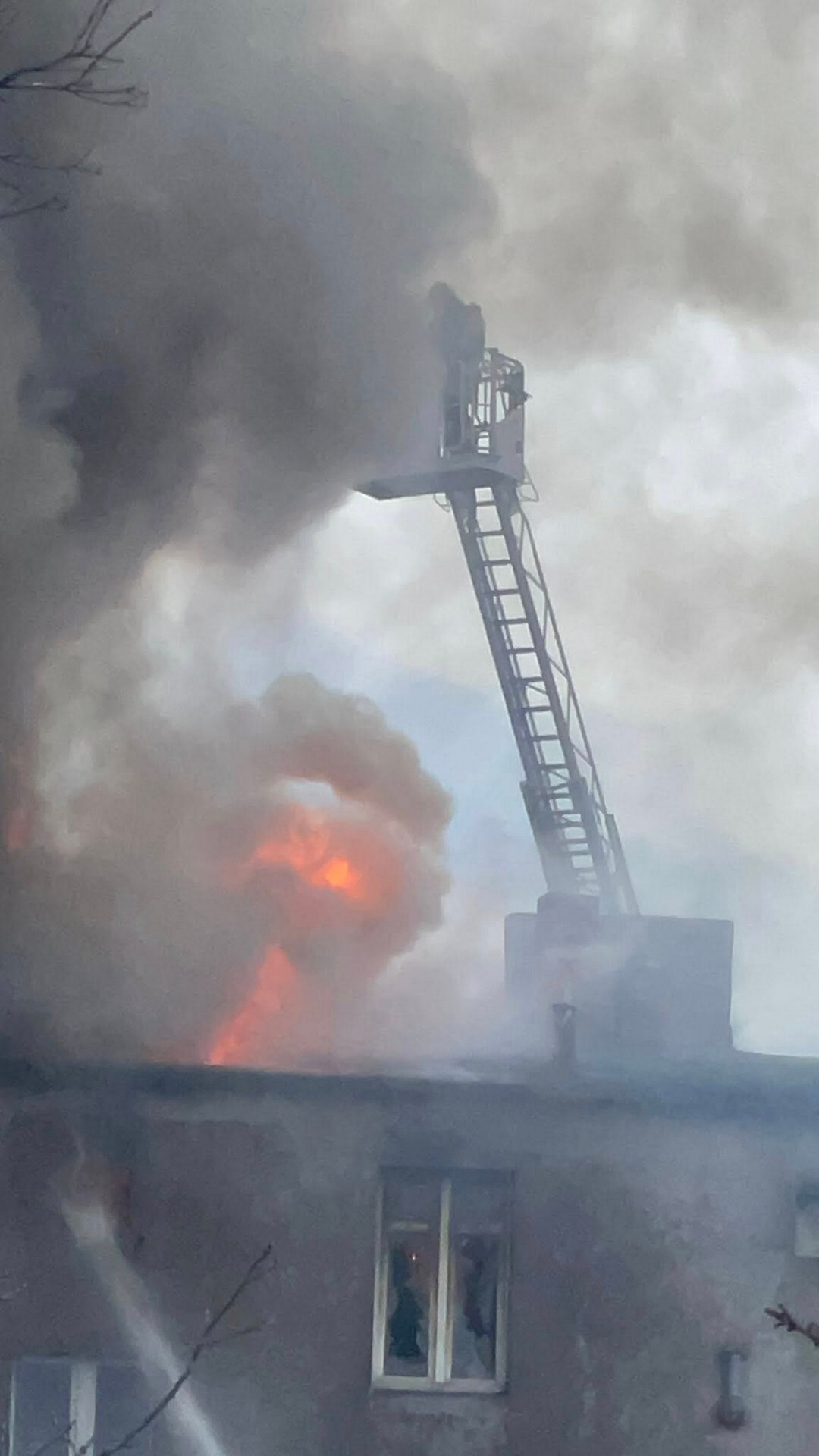 Dąbrowa Górnicza-Strzemieszyce. Pożar przy ulicy Warszawskiej 74. 10 marca 2026