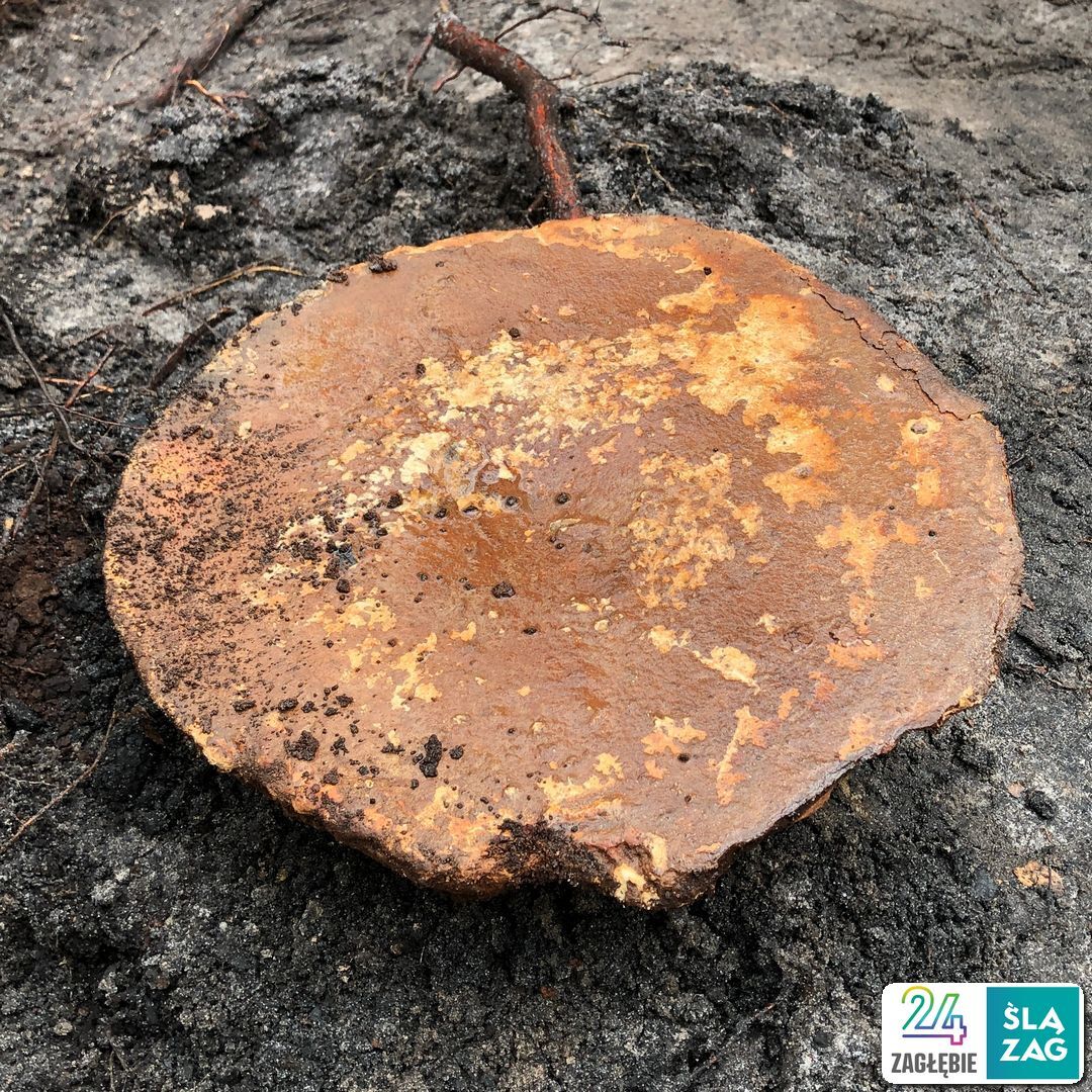 Dąbrowa Górnicza-Strzemieszyce Wielkie. Stanowisko archeologiczne w pobliżu zbiornika wodnego Smug. „Bochen” ołowiu z XIII wieku. 18 kwietnia 2025.