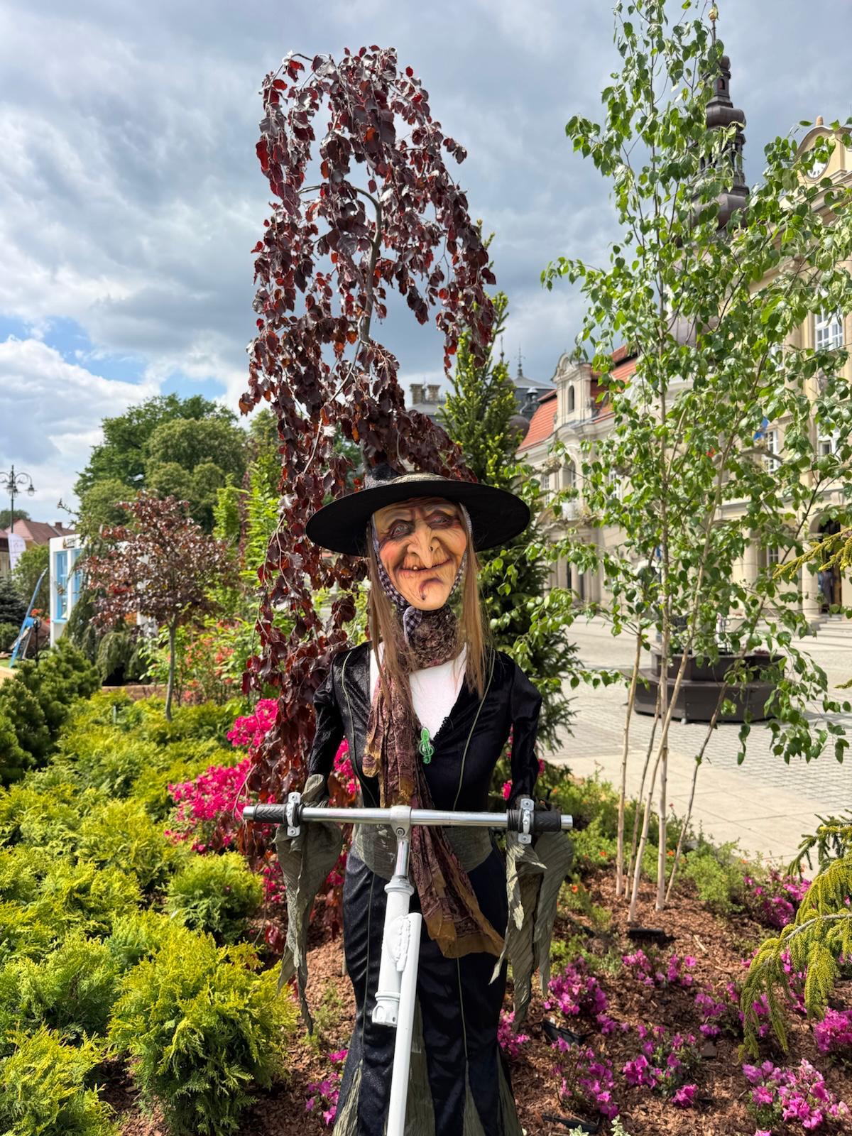 Daisy Days Pszczyna 2026 15