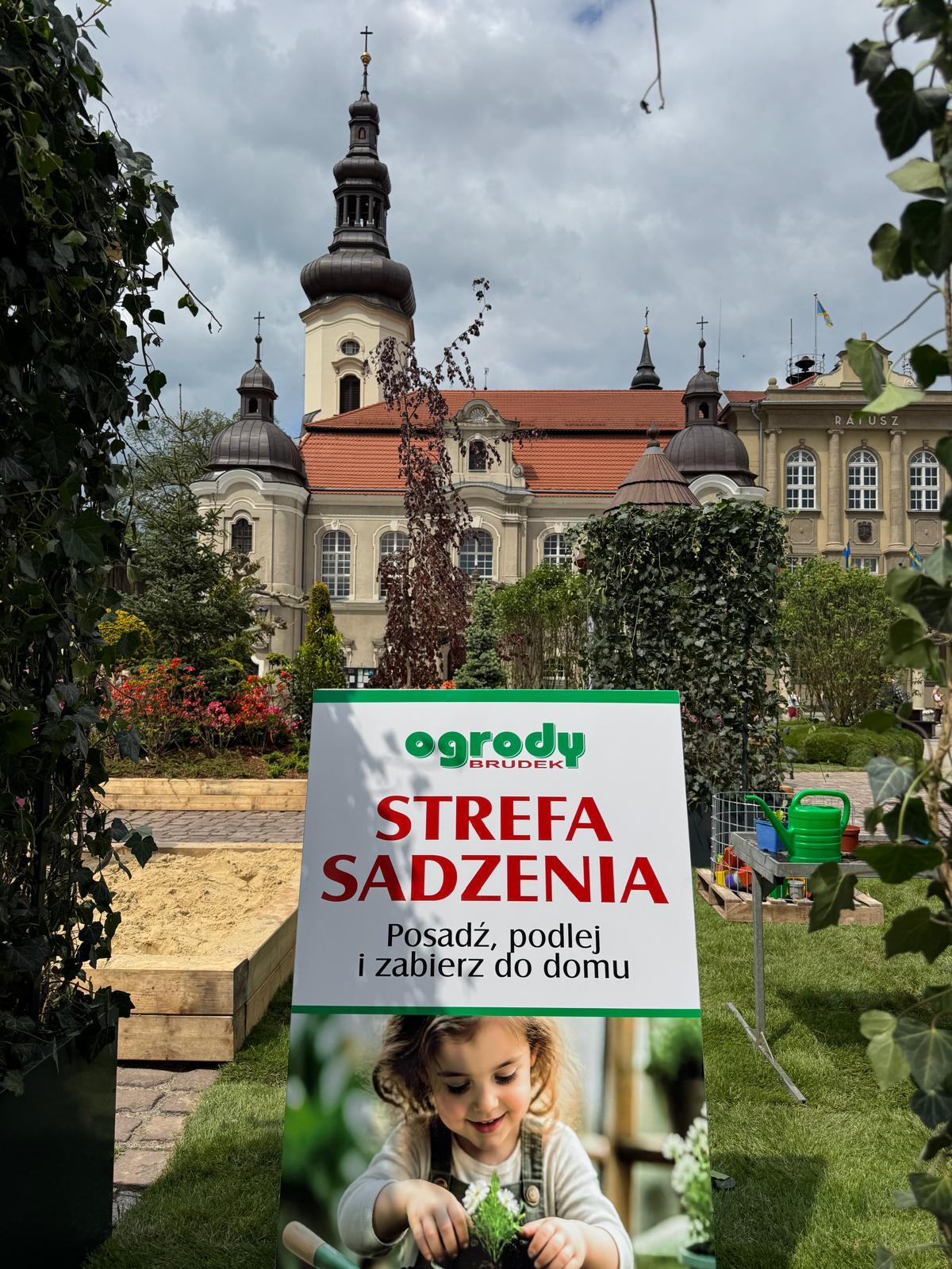 Daisy Days Pszczyna 2026 20