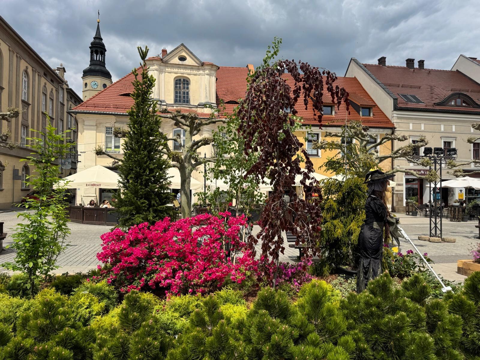 Daisy Days Pszczyna 2026 6