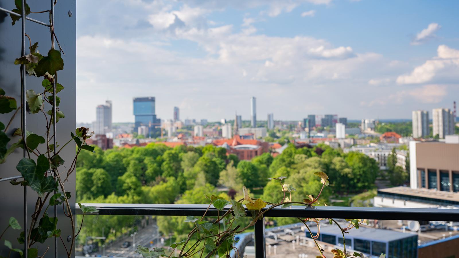 Damrota Garden Katowice 16