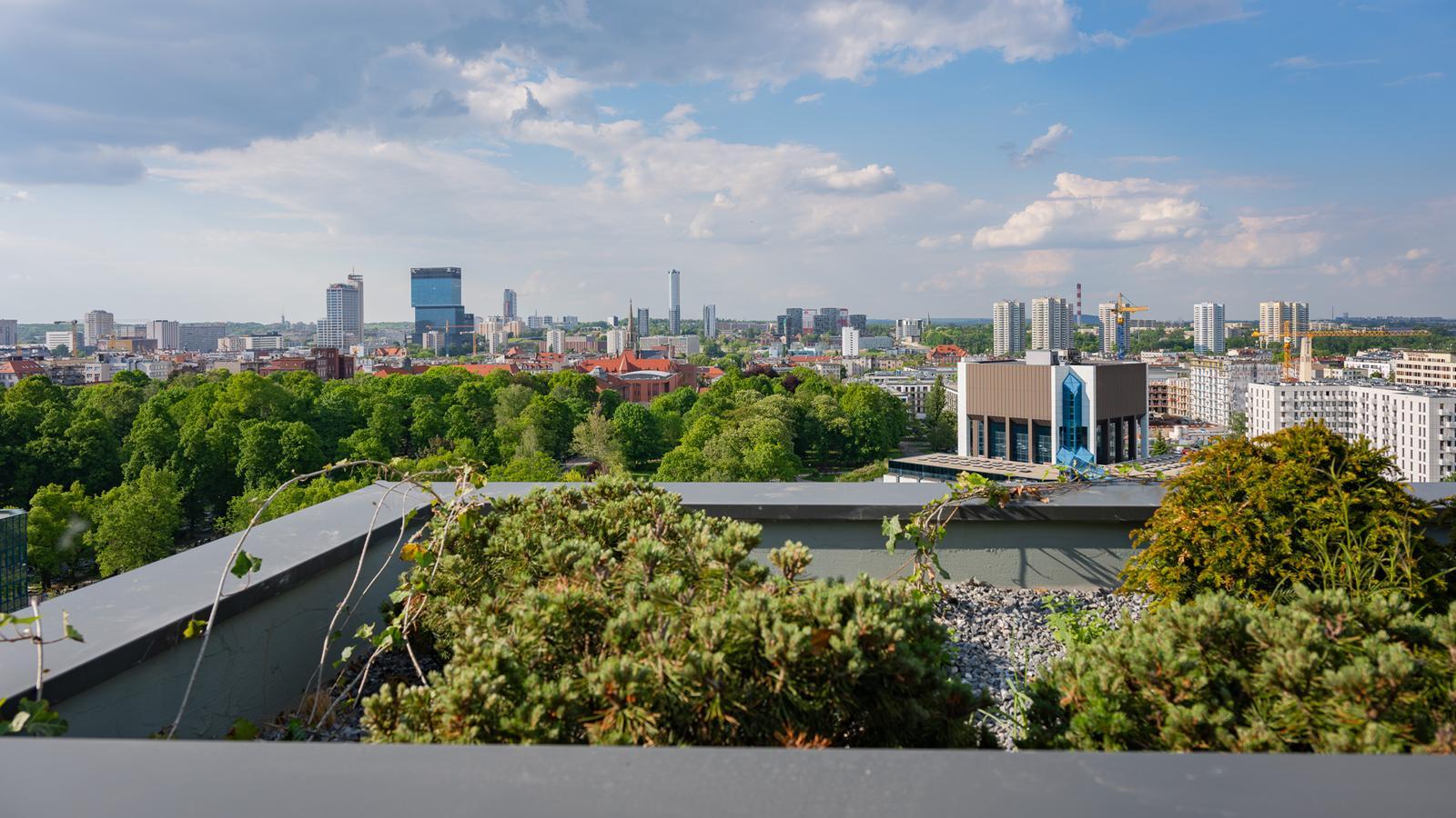 Damrota Garden Katowice 18