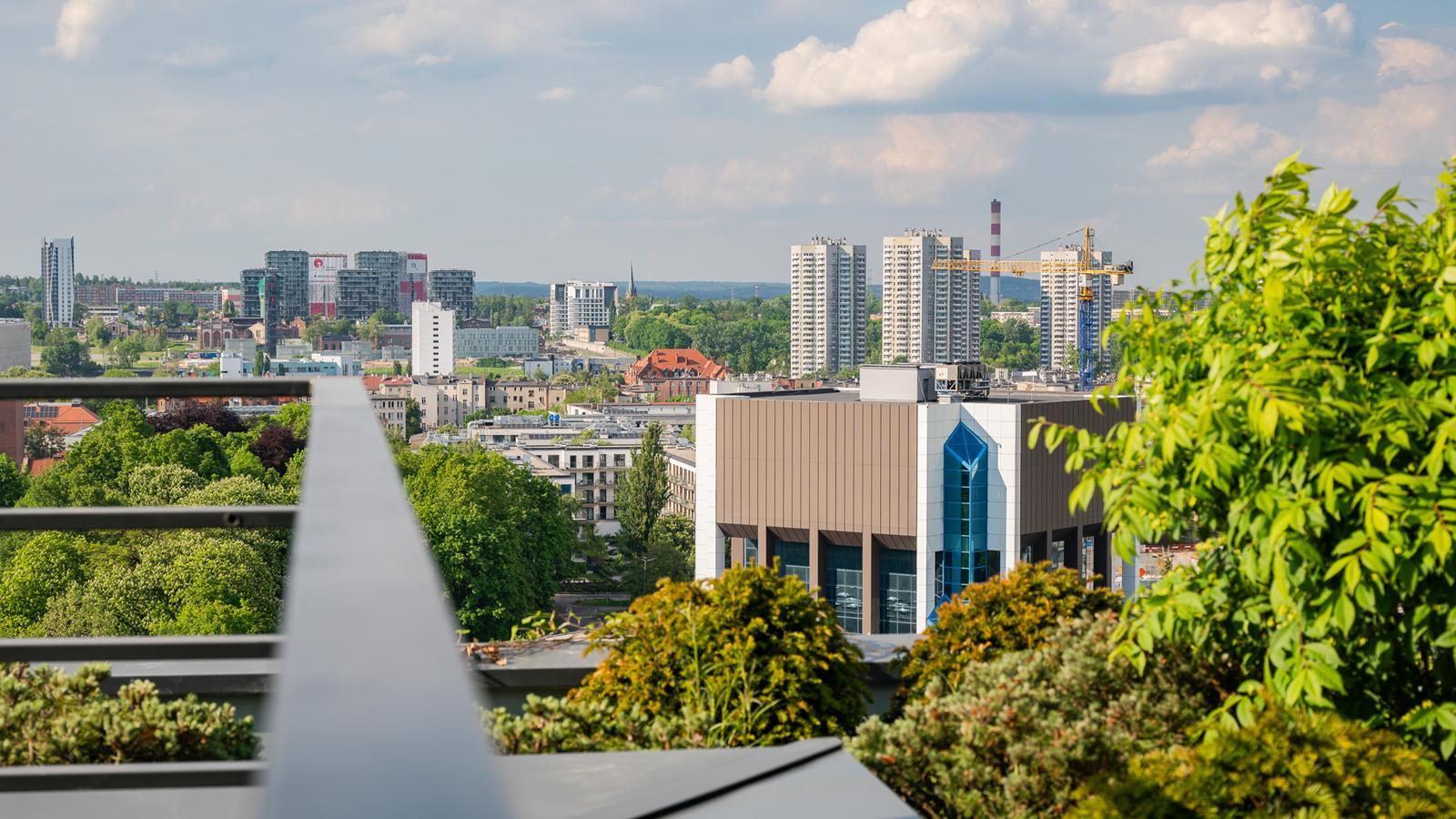 Damrota Garden Katowice 22