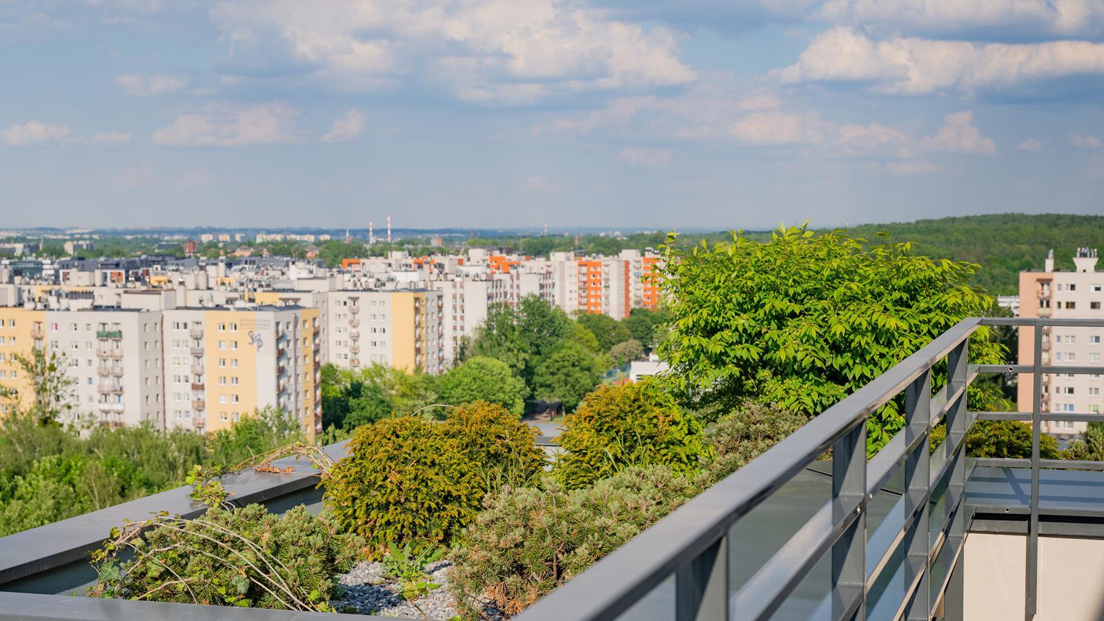 Damrota Garden Katowice 23