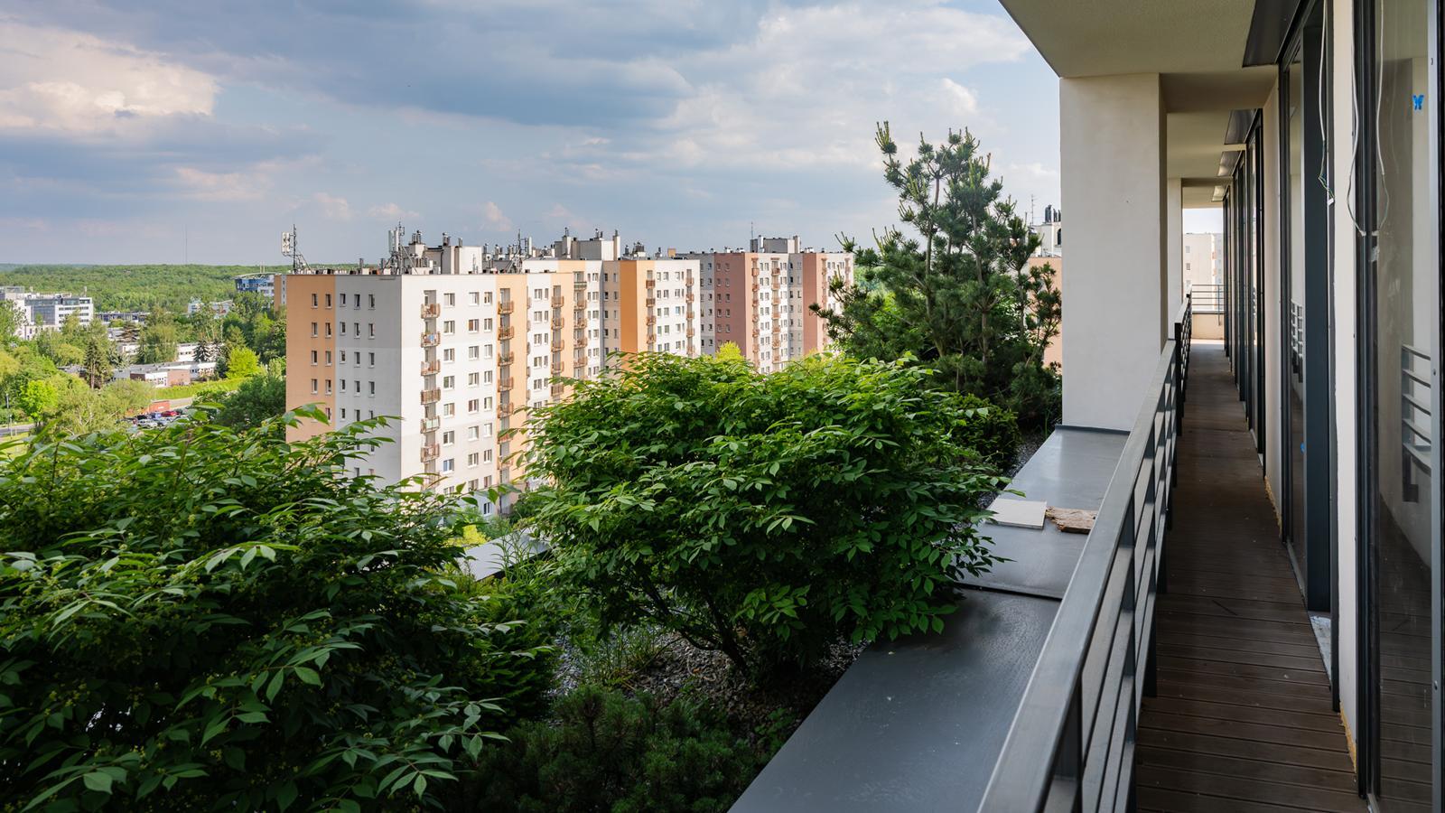 Damrota Garden Katowice 30