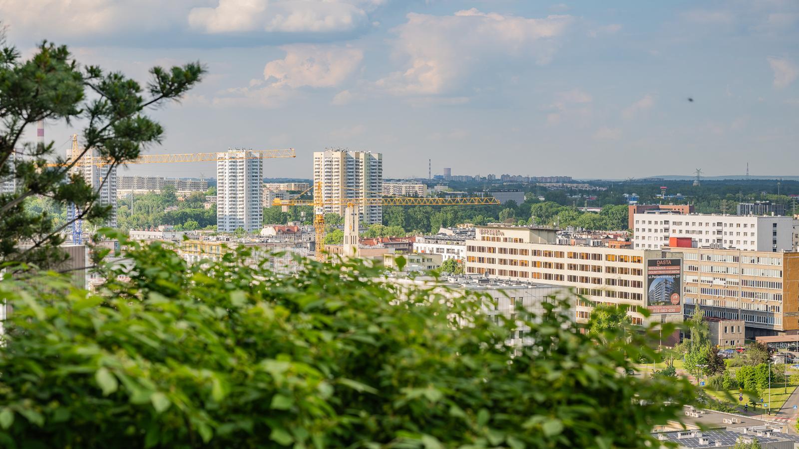 Damrota Garden Katowice 31