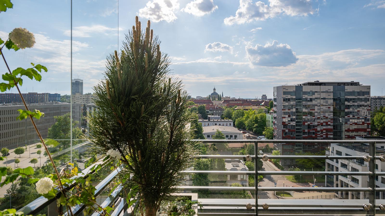 Damrota Garden Katowice 41