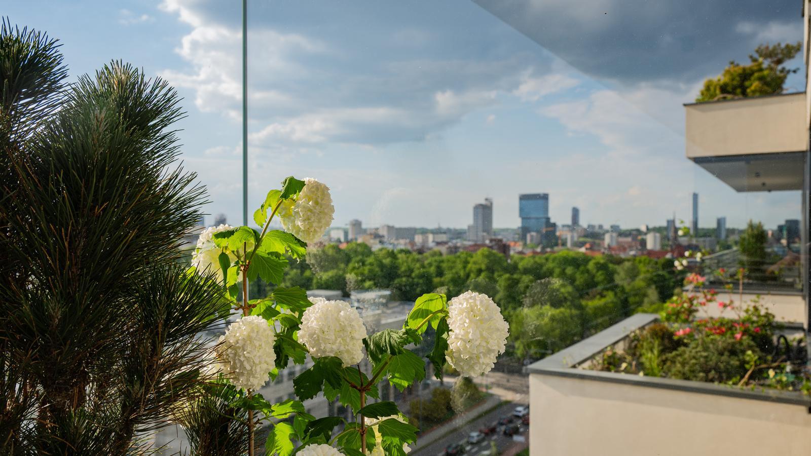 Damrota Garden Katowice 44