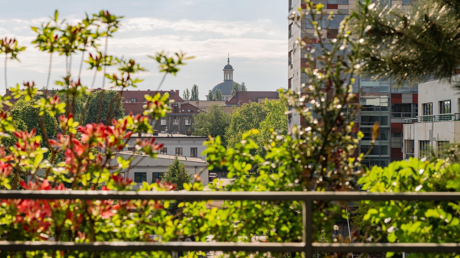 Damrota Garden Katowice 48