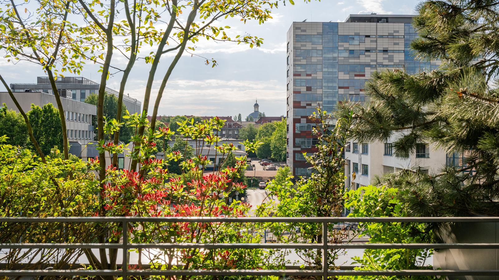 Damrota Garden Katowice 49