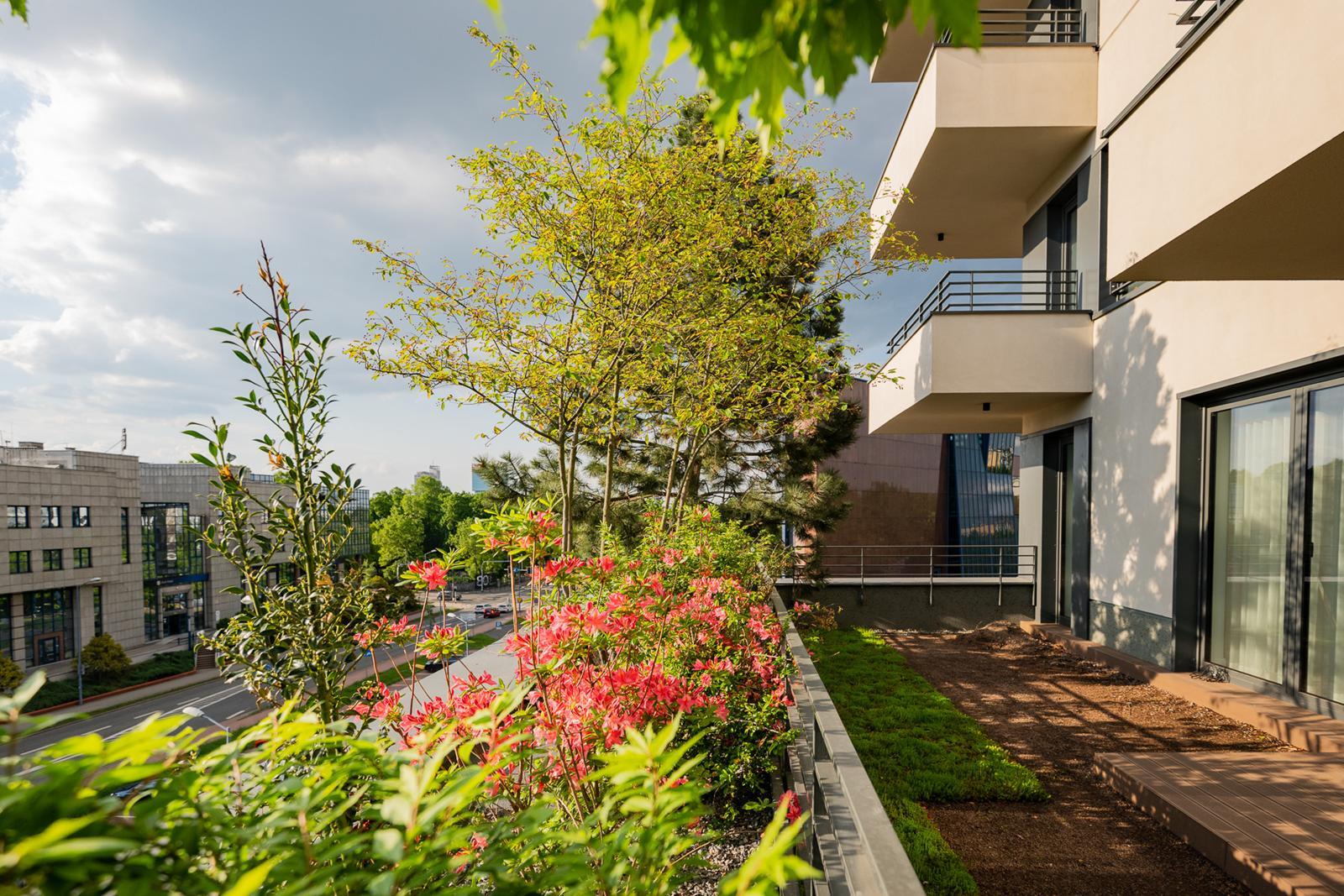 Damrota Garden Katowice 55