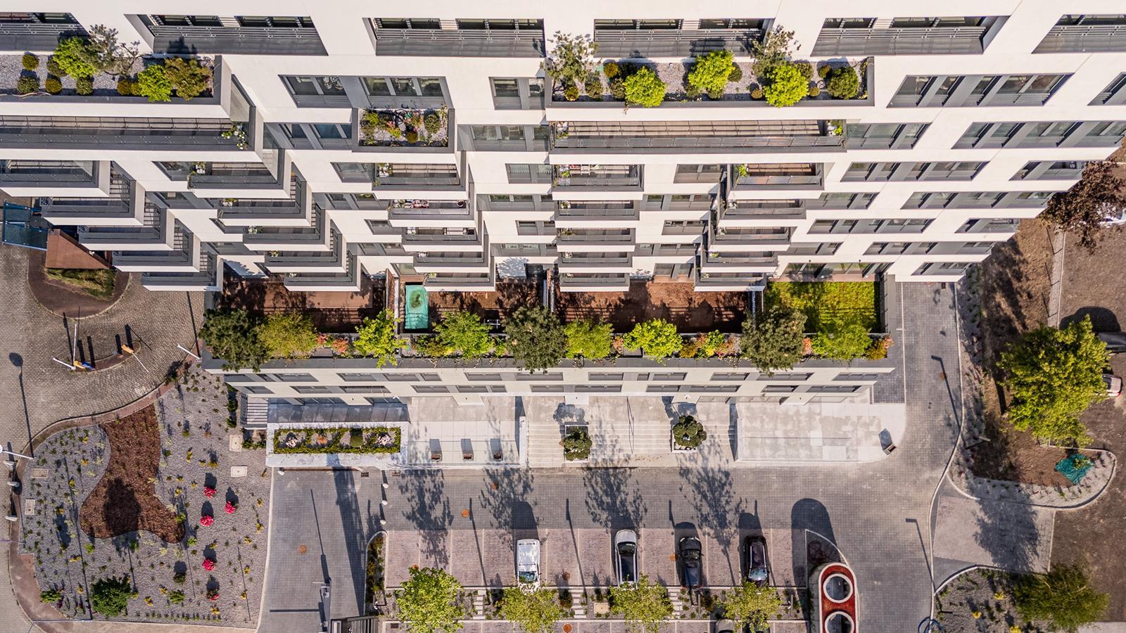 Damrota Garden Katowice 6