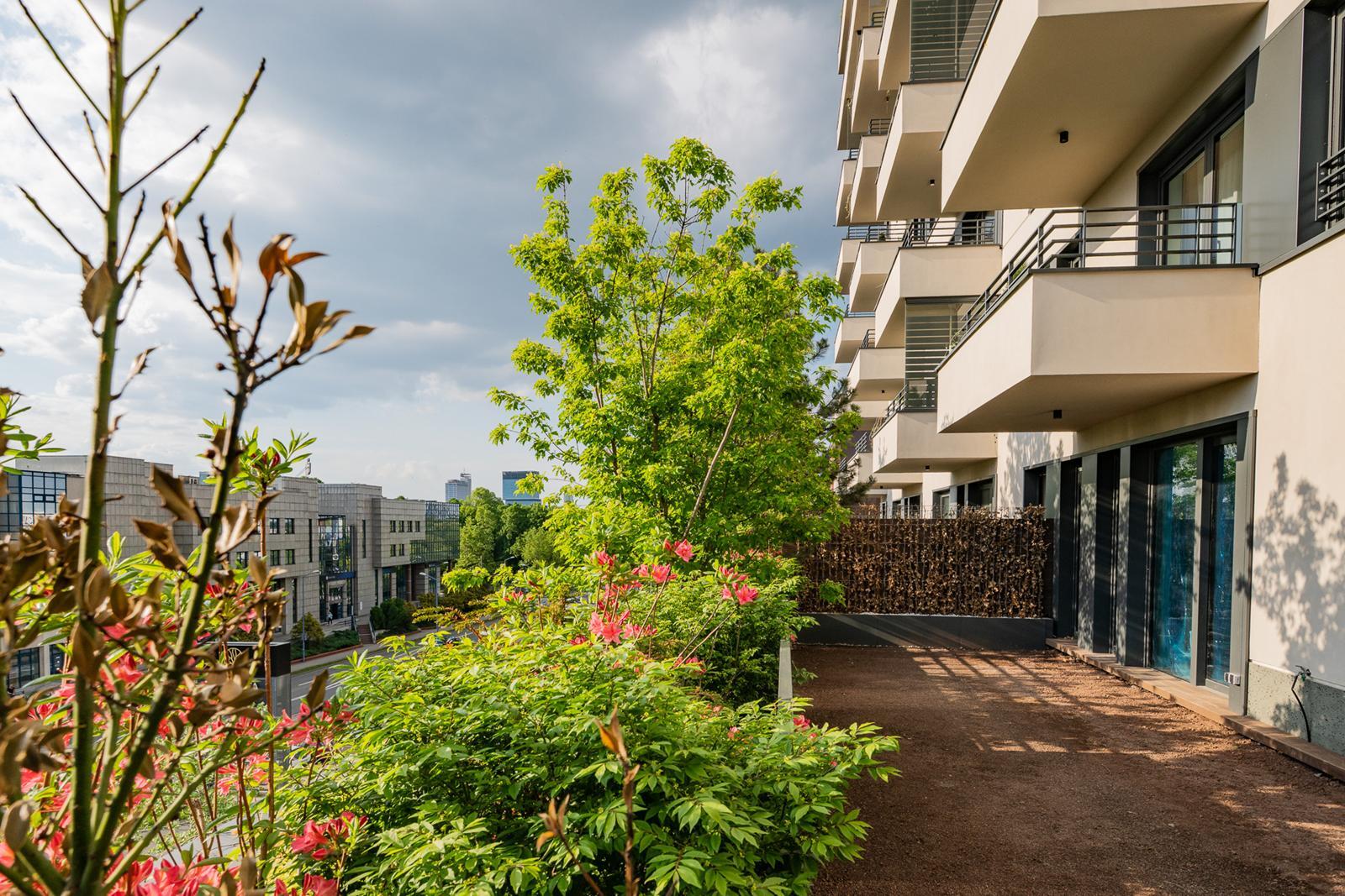 Damrota Garden Katowice 60