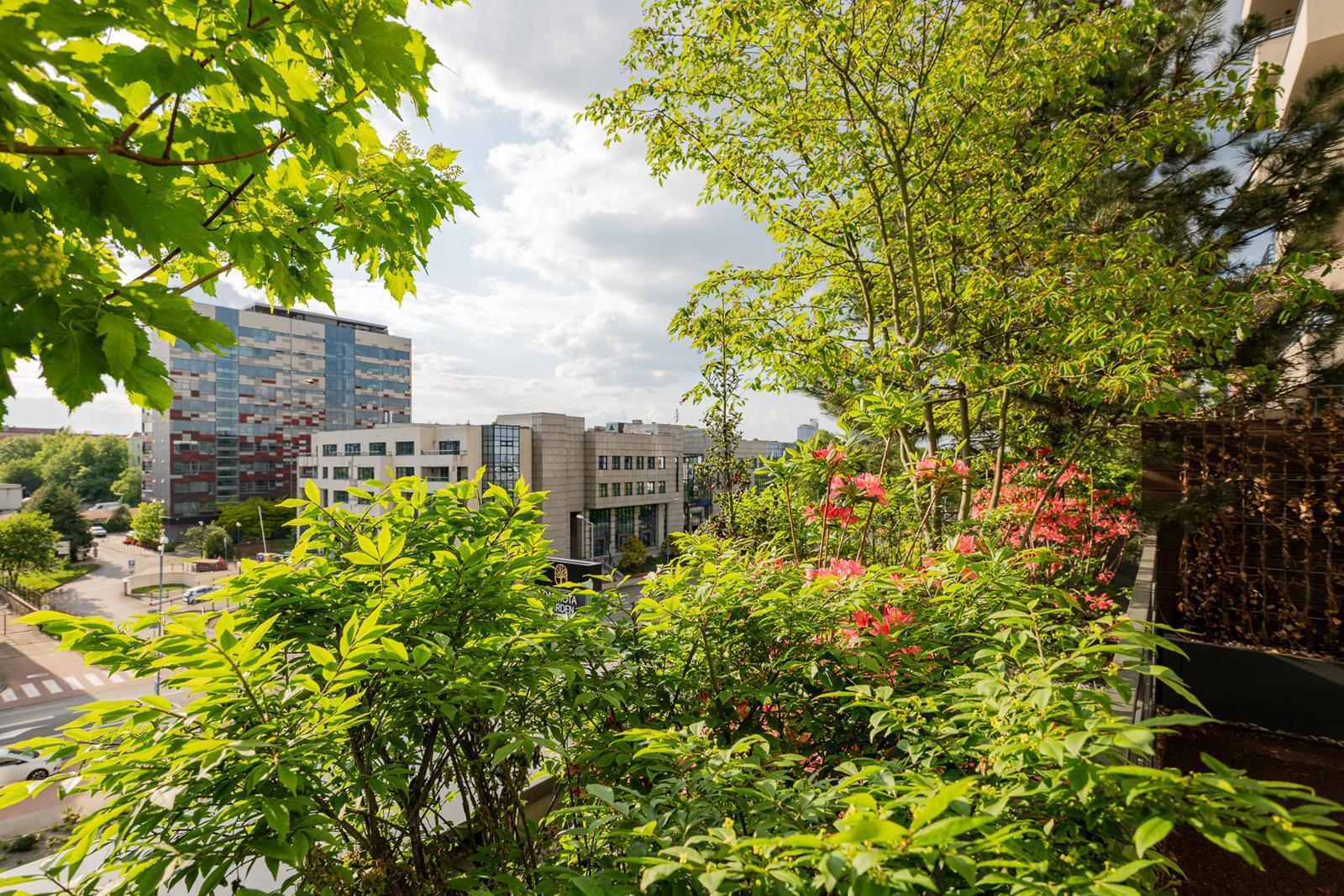 Damrota Garden Katowice 61