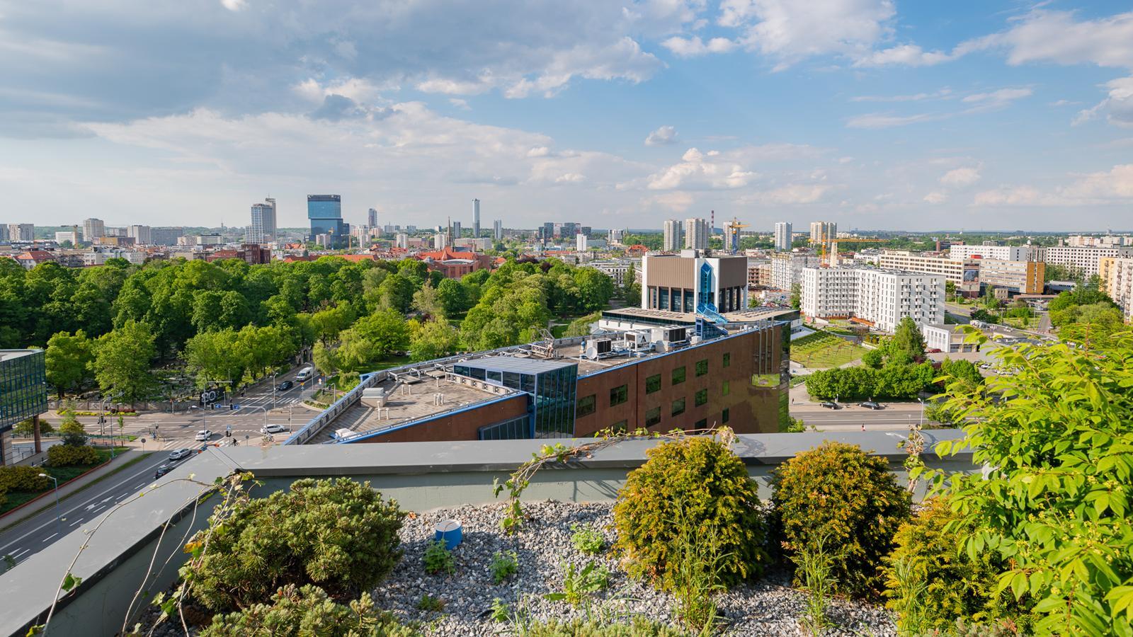 Damrota Garden Katowice 8