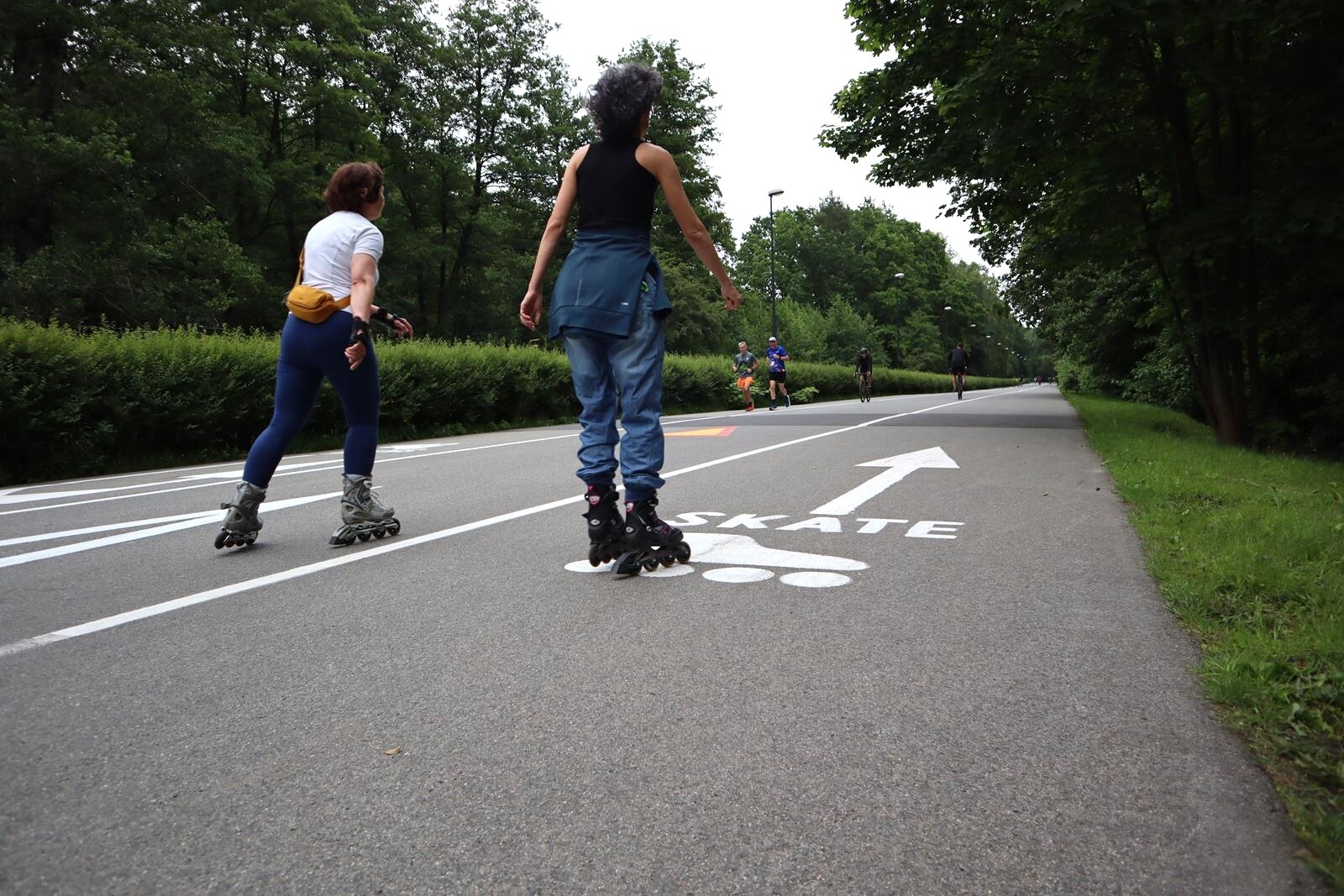 Dolina Trzech Stawów, Katowice