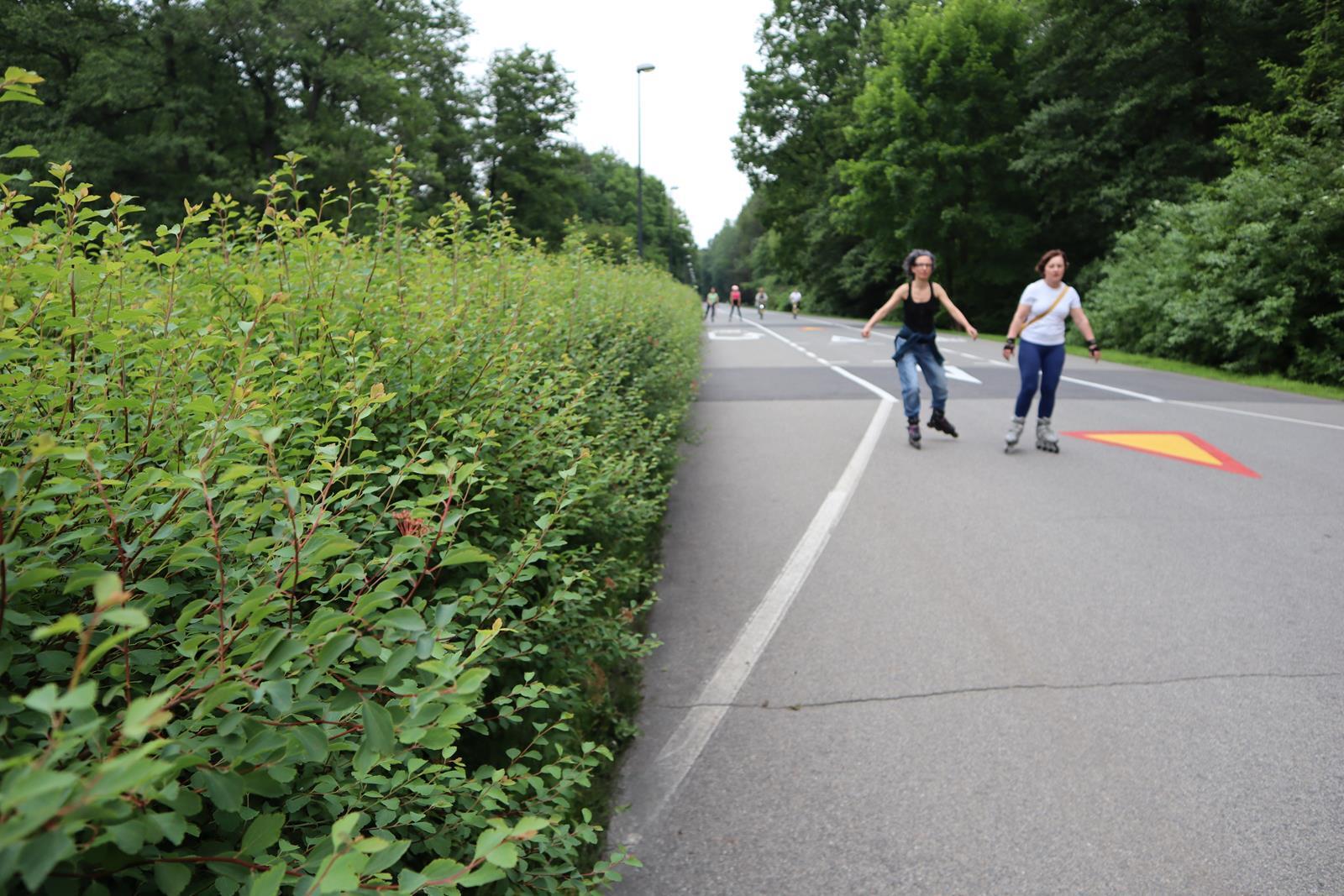 Dolina Trzech Stawów, Katowice
