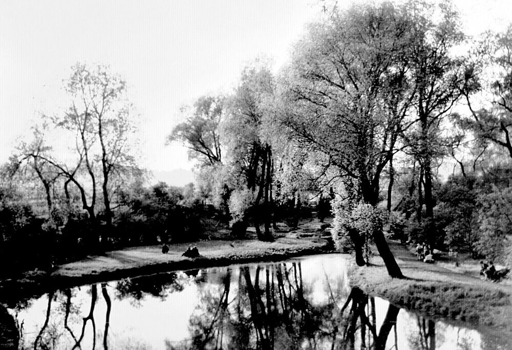 Park Śląski. Tego już nie ma lub zmieniło się do niepoznania