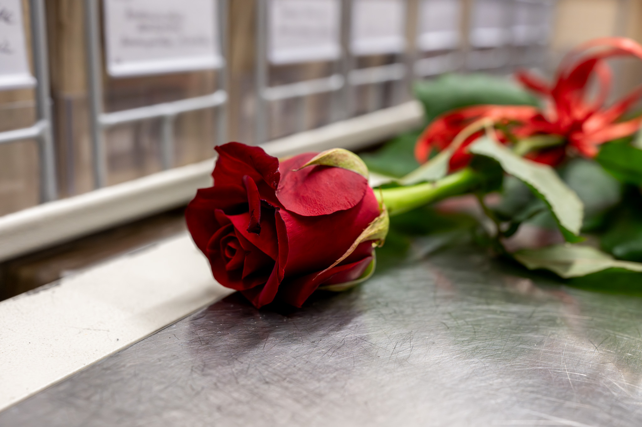 Dzień Darczyńcy w Oddziałowym Archiwum IPN w Katowicach