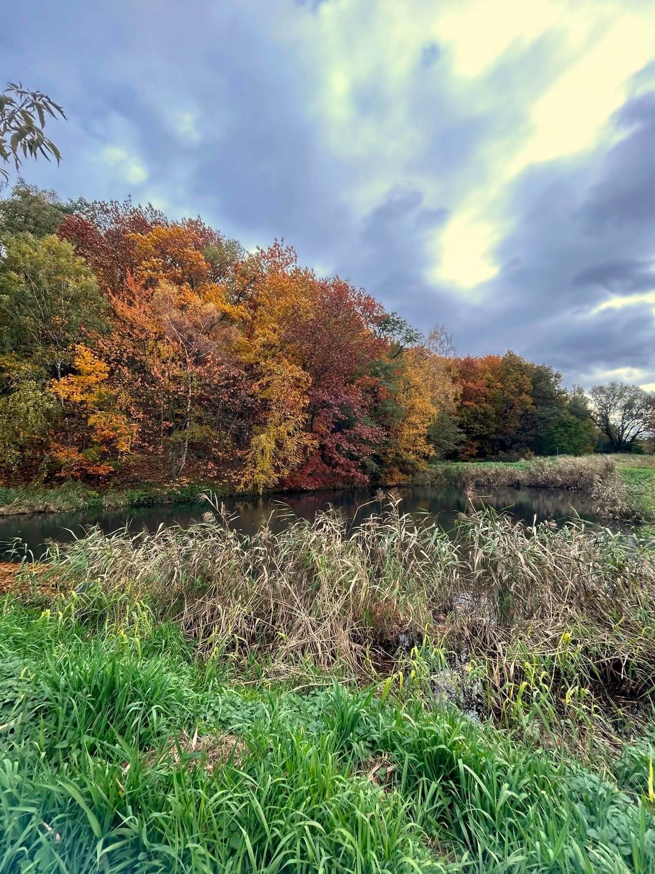Łaziska Górne miastem parków? W mieście realizowane są 3 zielone inwestycje